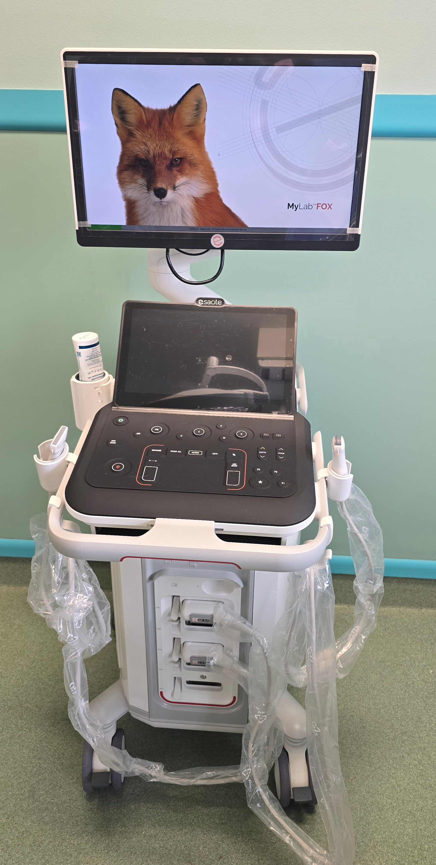 An ultrasound machine with a screen displaying a fox; on wheels in a room with a light blue wall.