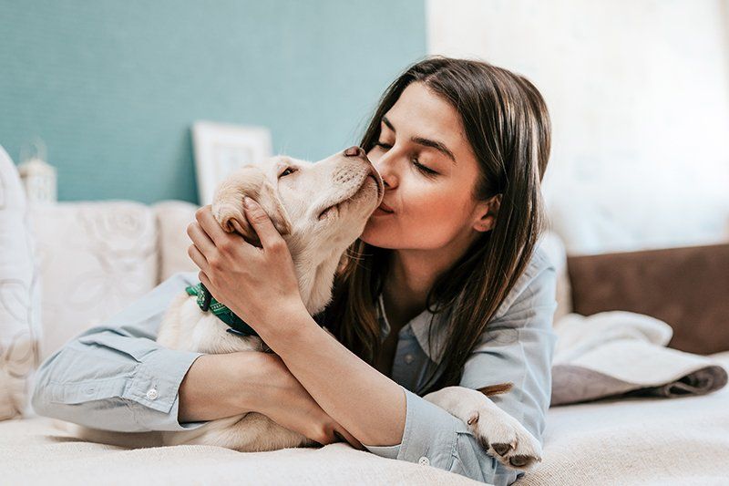 Happy Time with Pet — Seattle, WA — South Seattle Veterinary Hospital