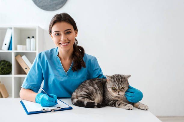 24 hour best sale cat vet