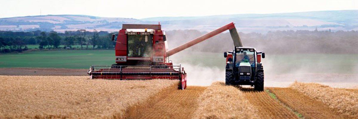 wa consolidated grain harvesting