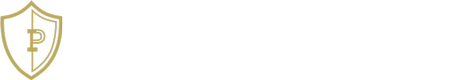 Princeton Insurance logo in white text