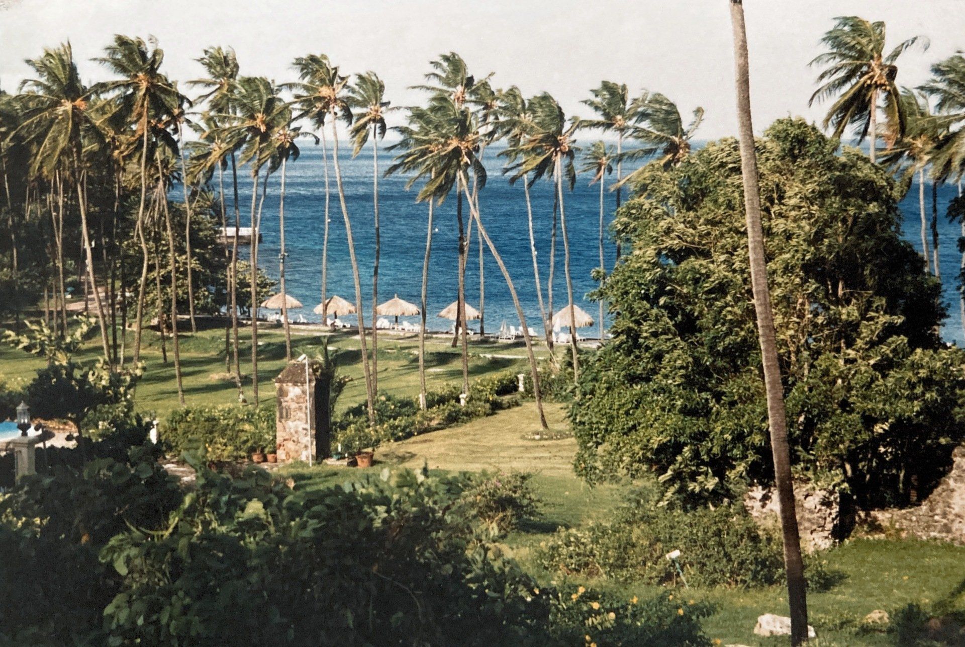 Blick auf einen Strand mit Palmen und Sonnenschirmen