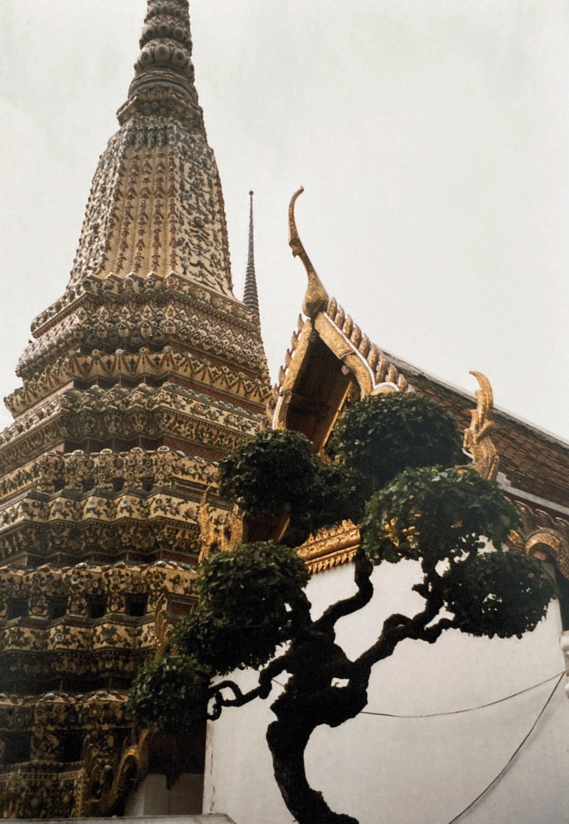 Ein sehr hohes Gebäude mit einem Baum davor