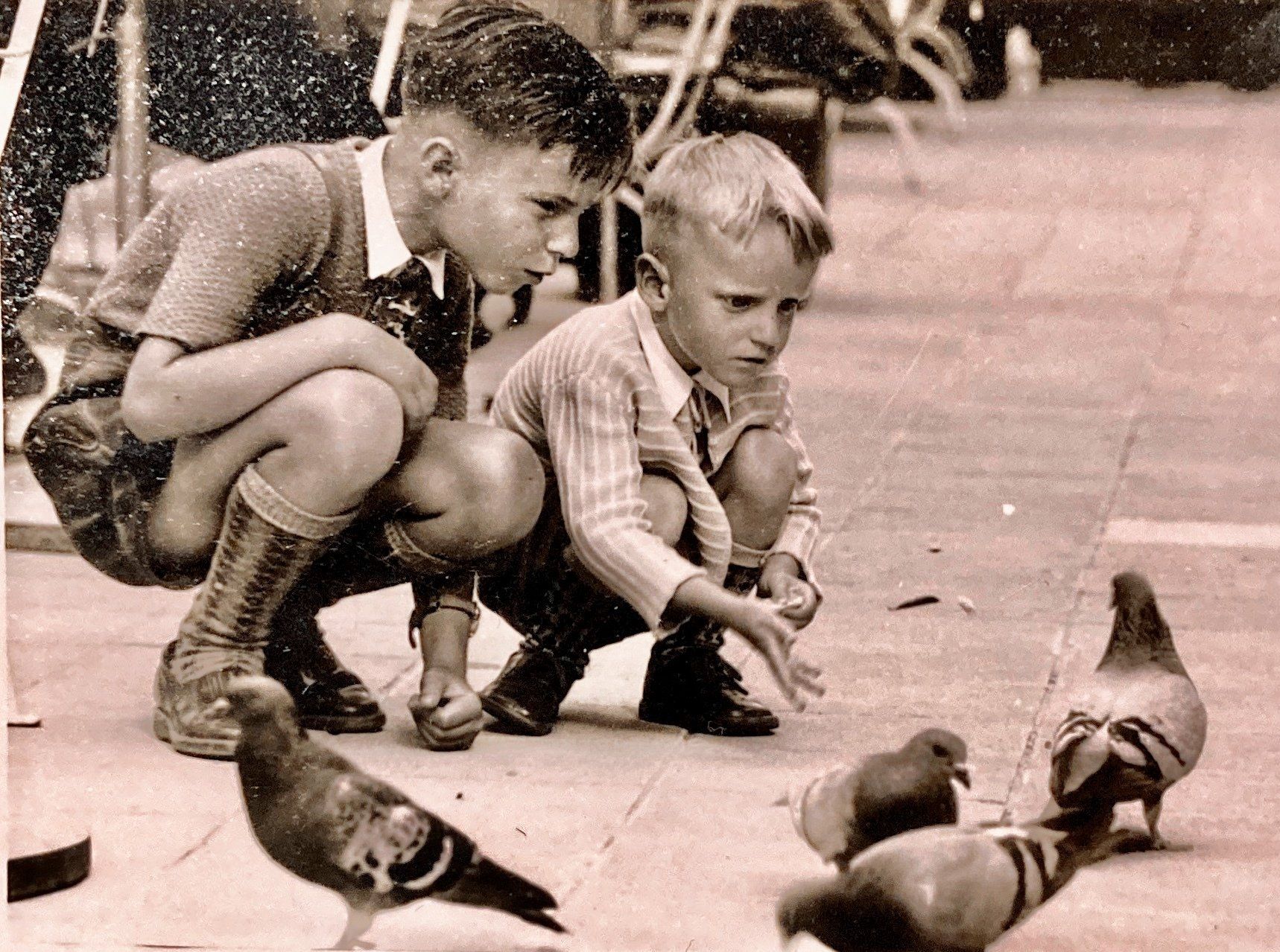 Ein Schwarzweißfoto von zwei Jungen, die Tauben füttern