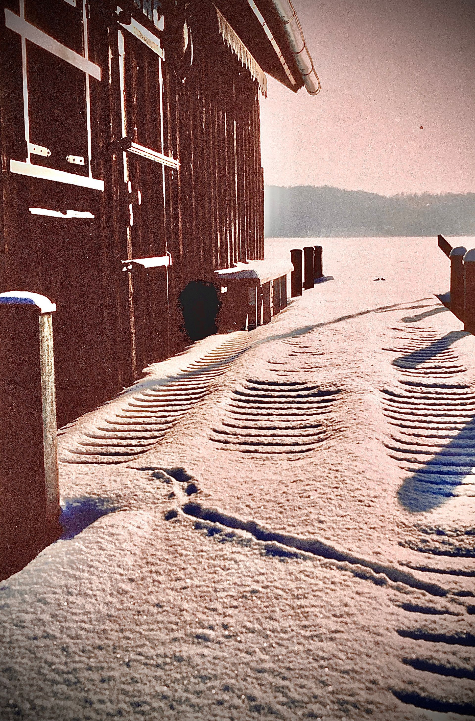 Ein Pferd steht im Schnee neben einem Gebäude