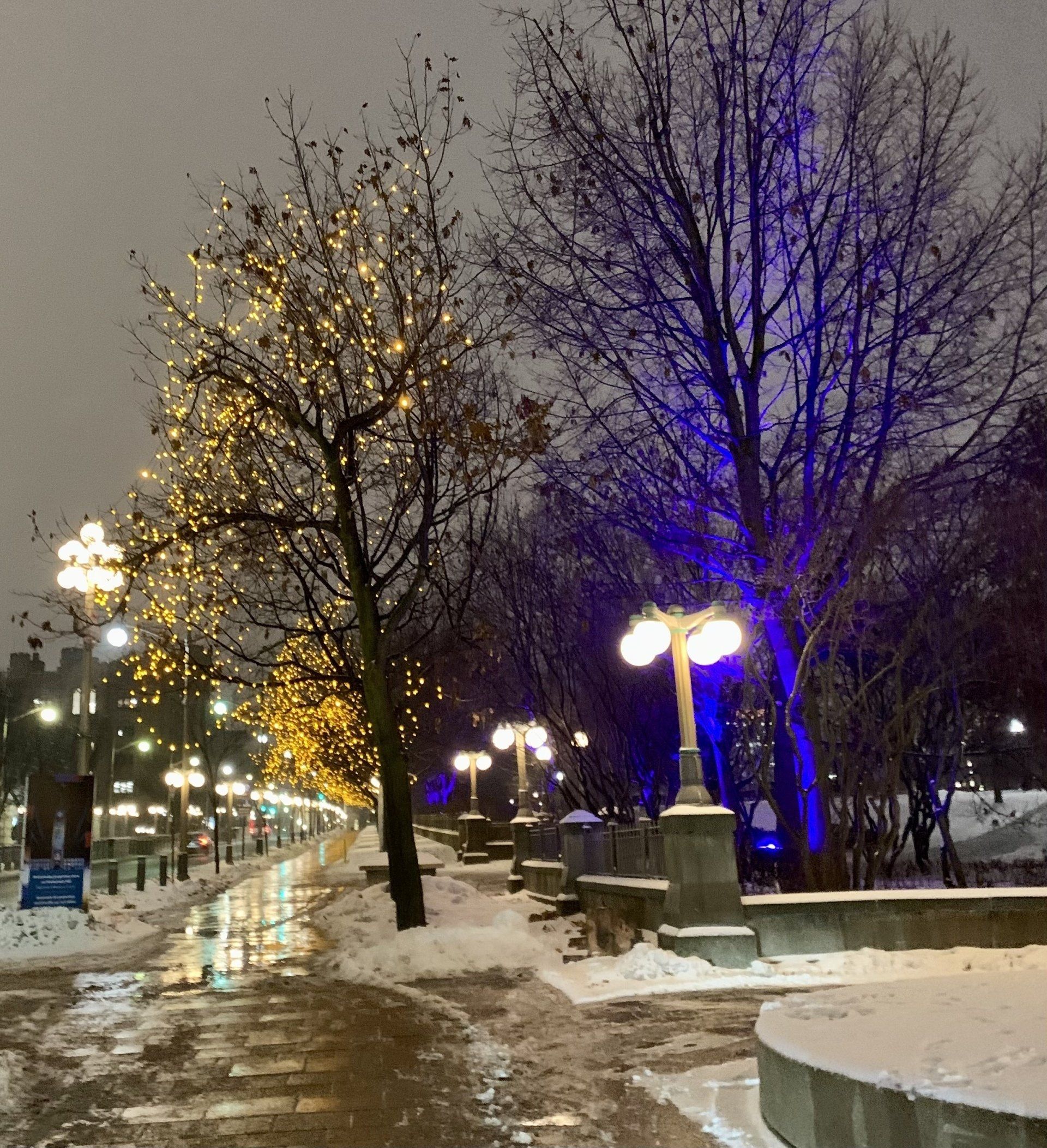 Ein verschneiter Gehweg mit Bäumen und Straßenlaternen in der Nacht