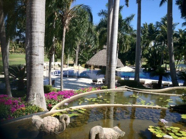 Ein Teich mit einer Elefantenstatue darin