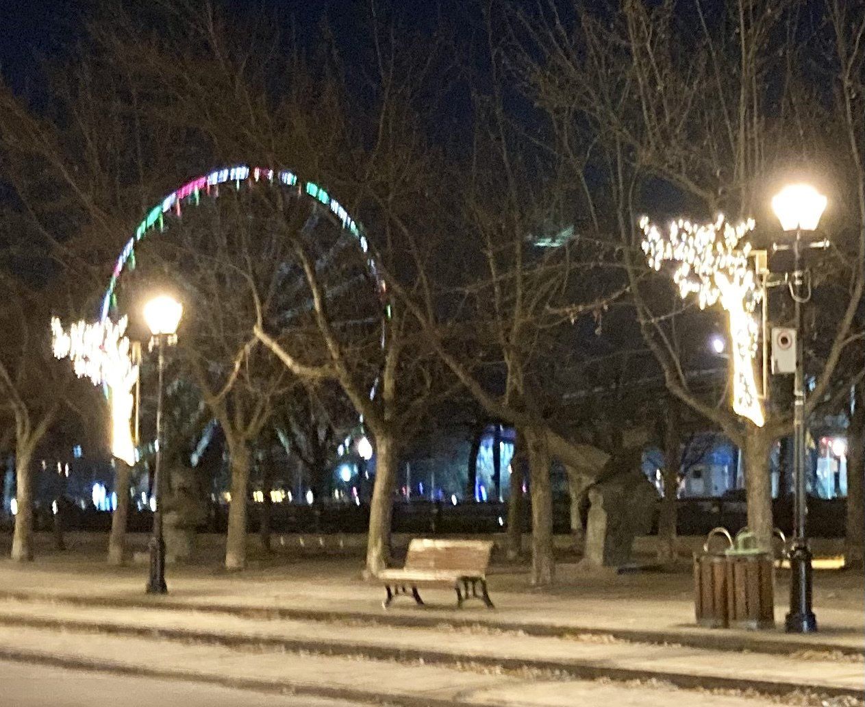 Ein Park bei Nacht mit einem Riesenrad im Hintergrund