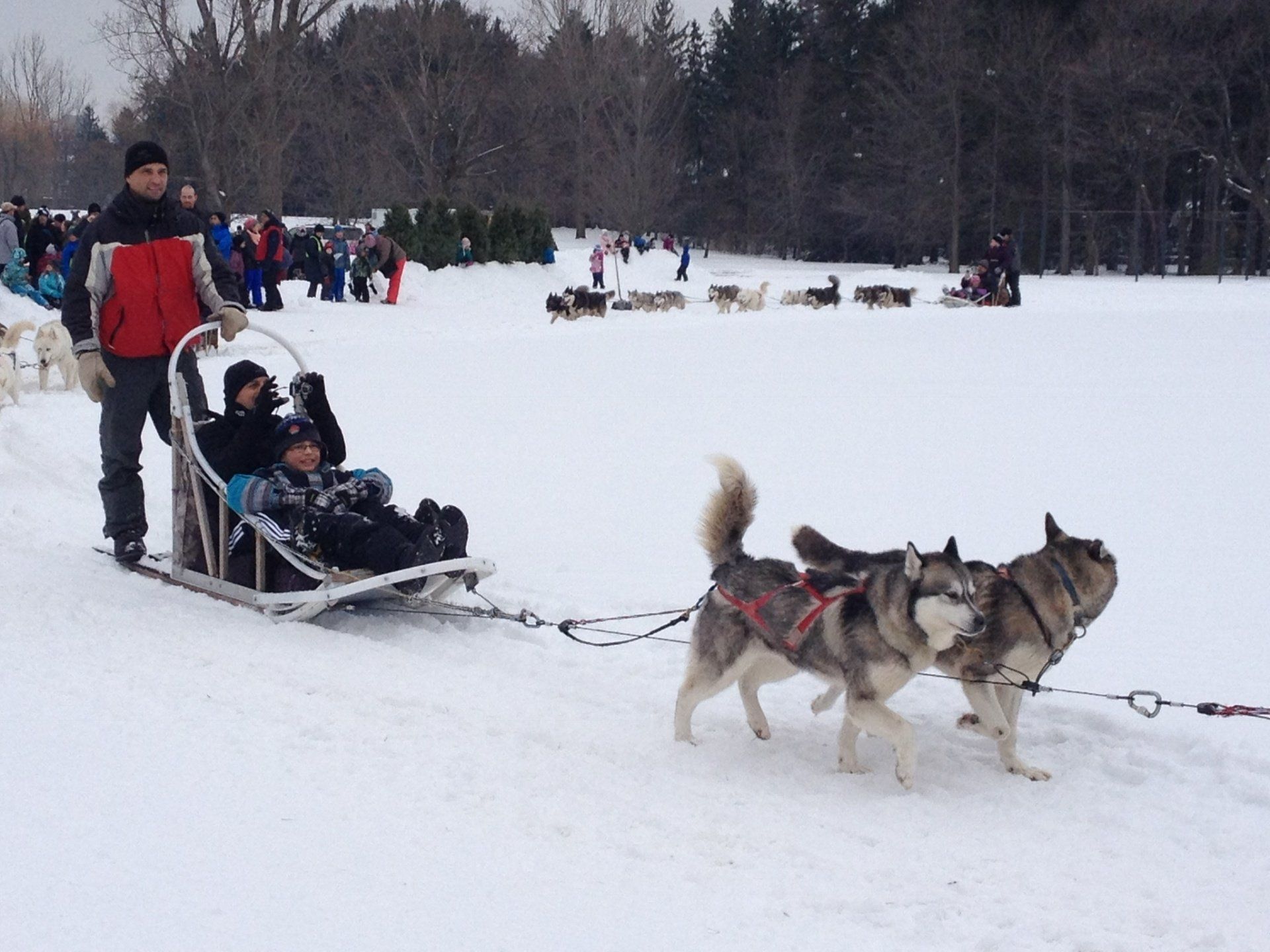 Eine Gruppe Huskys, die einen Schlitten mit Menschen darin ziehen