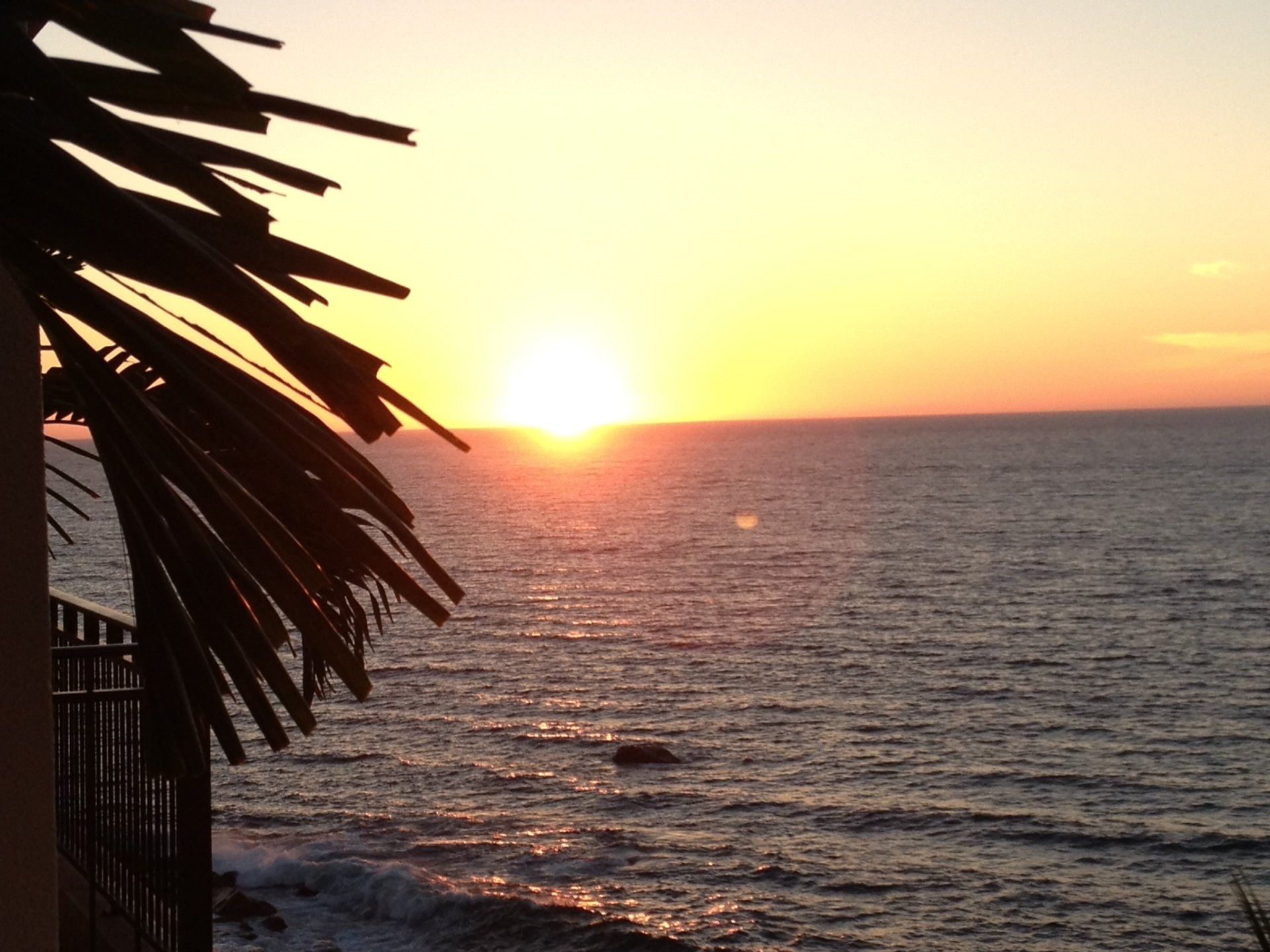 Ein Sonnenuntergang über dem Meer mit einer Palme im Vordergrund