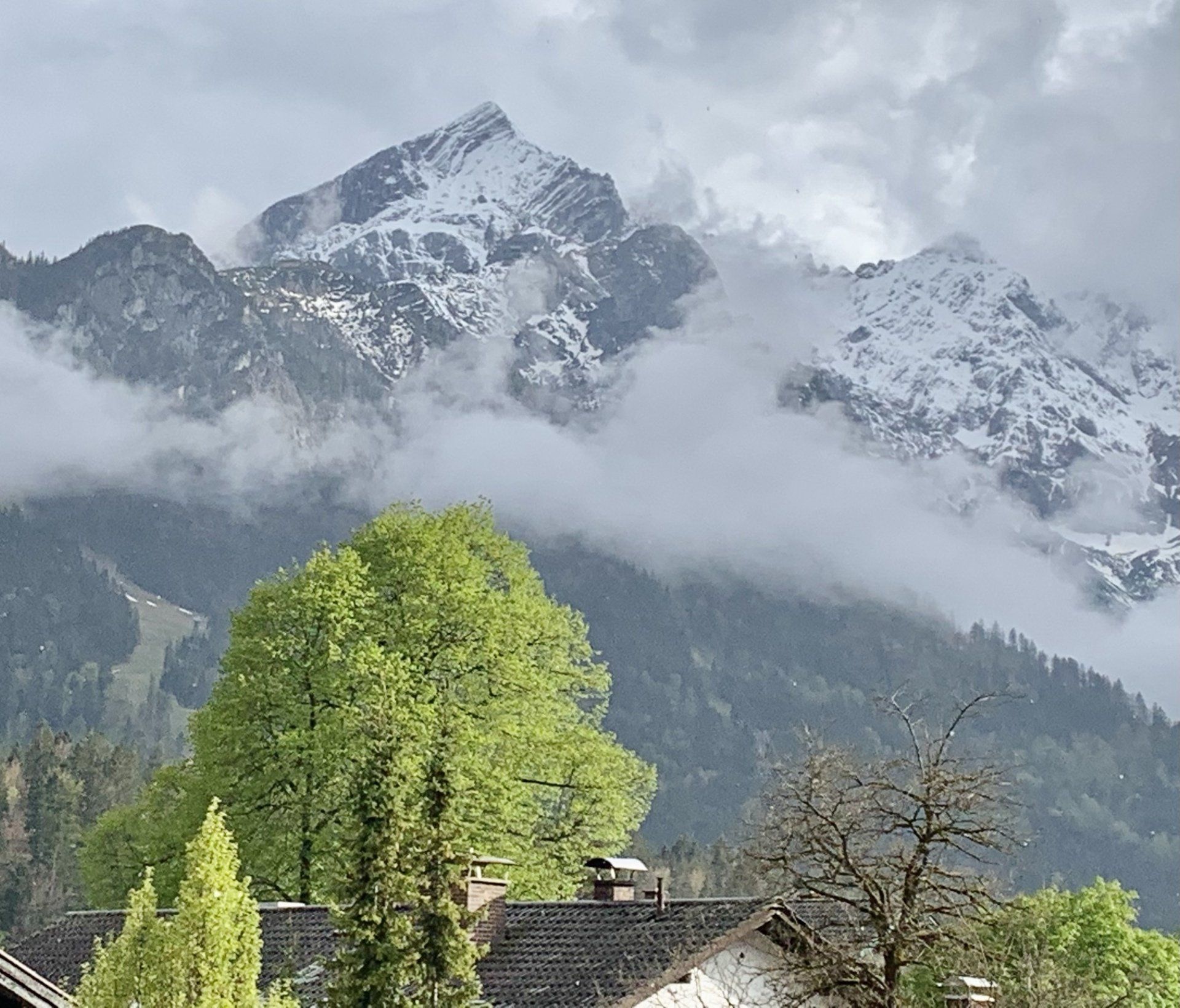 Blick auf eine Bergkette mit Bäumen im Vordergrund