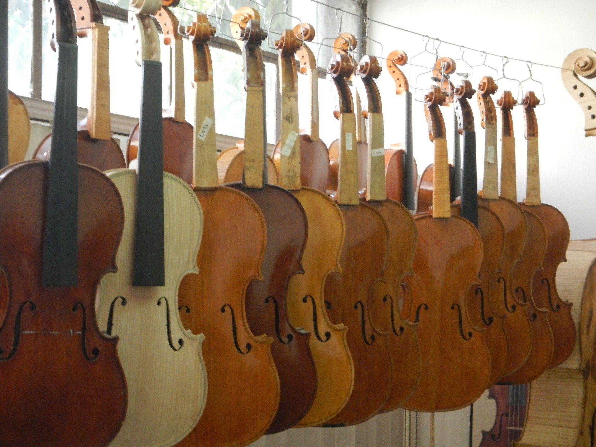 Eine Reihe von Geigen, die an einer Wand in einem Geschäft hängen