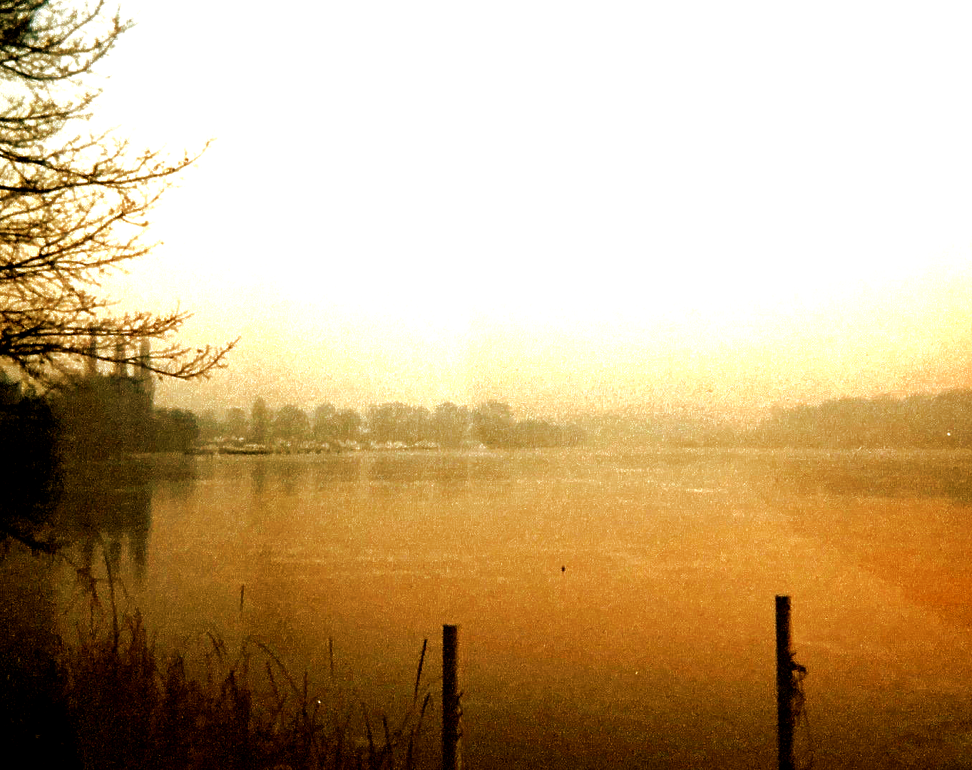 Ein Sonnenuntergang über einem See mit Bäumen im Hintergrund