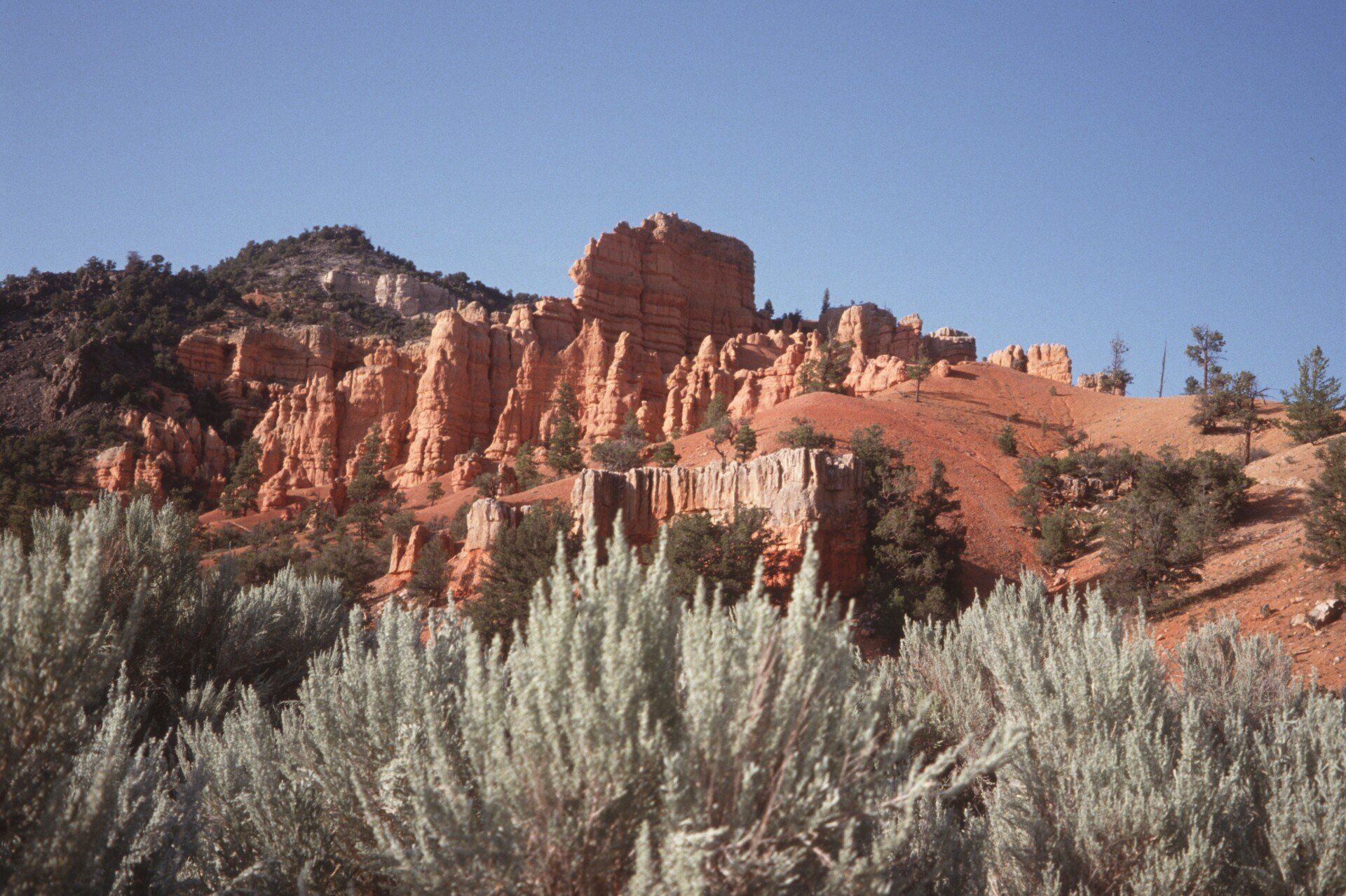 Ein mit Bäumen und Büschen bedeckter Berg mit einem blauen Himmel im Hintergrund