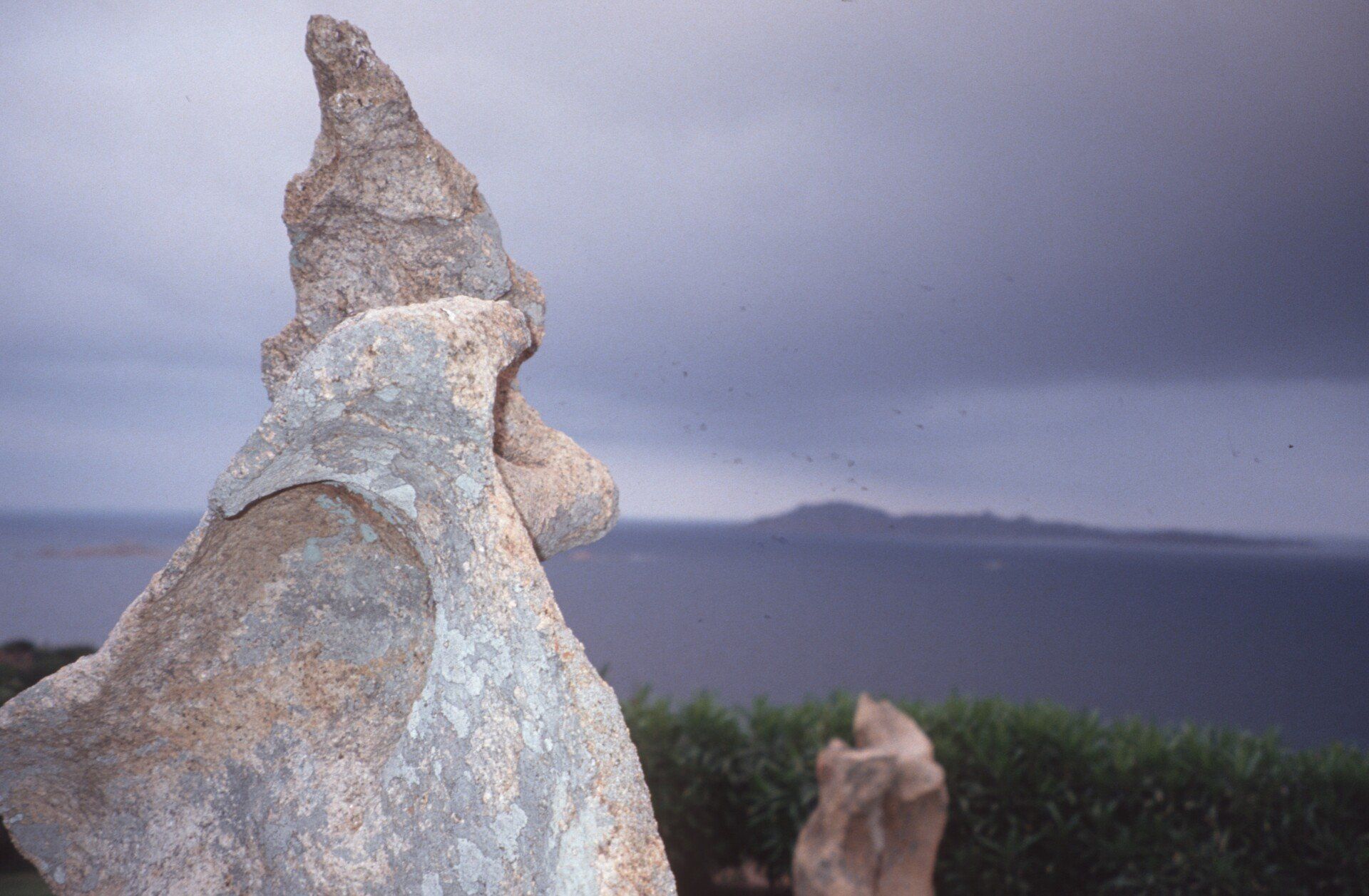 Eine Wolfsstatue steht vor einem Gewässer.