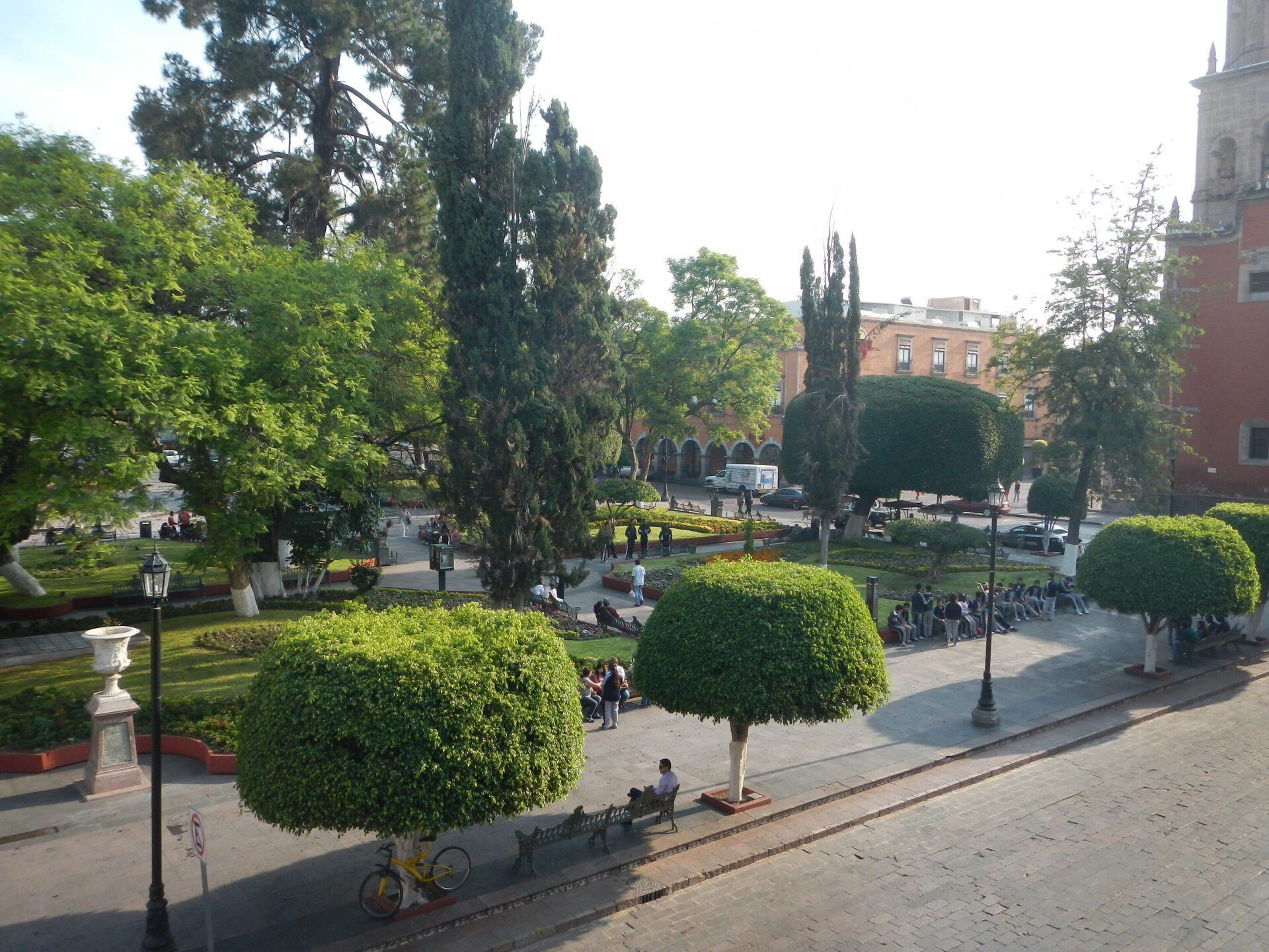 Ein Park mit vielen Bäumen und einem Gebäude im Hintergrund