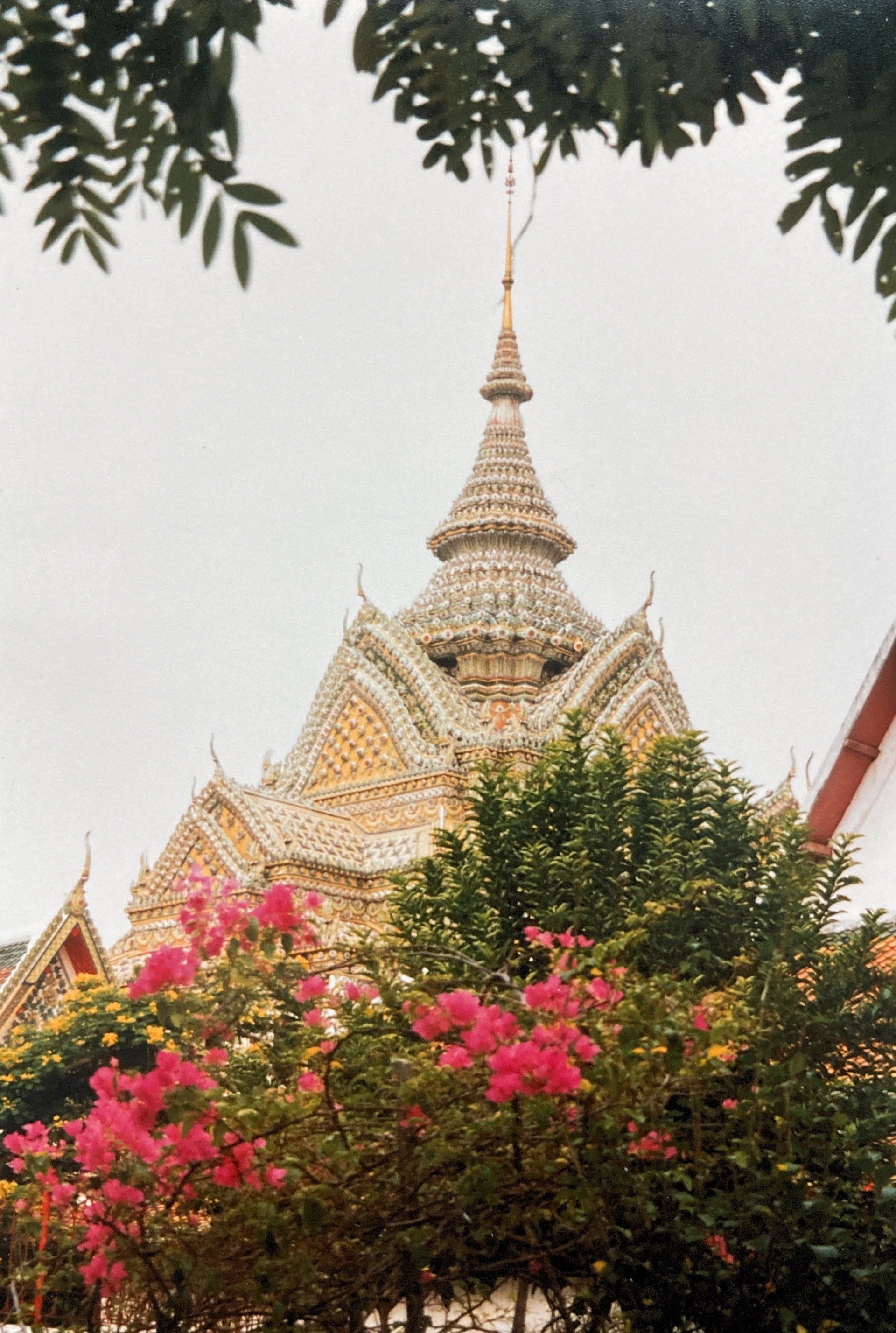 Ein großes Gebäude mit einem Kirchturm ist von Bäumen und Blumen umgeben.