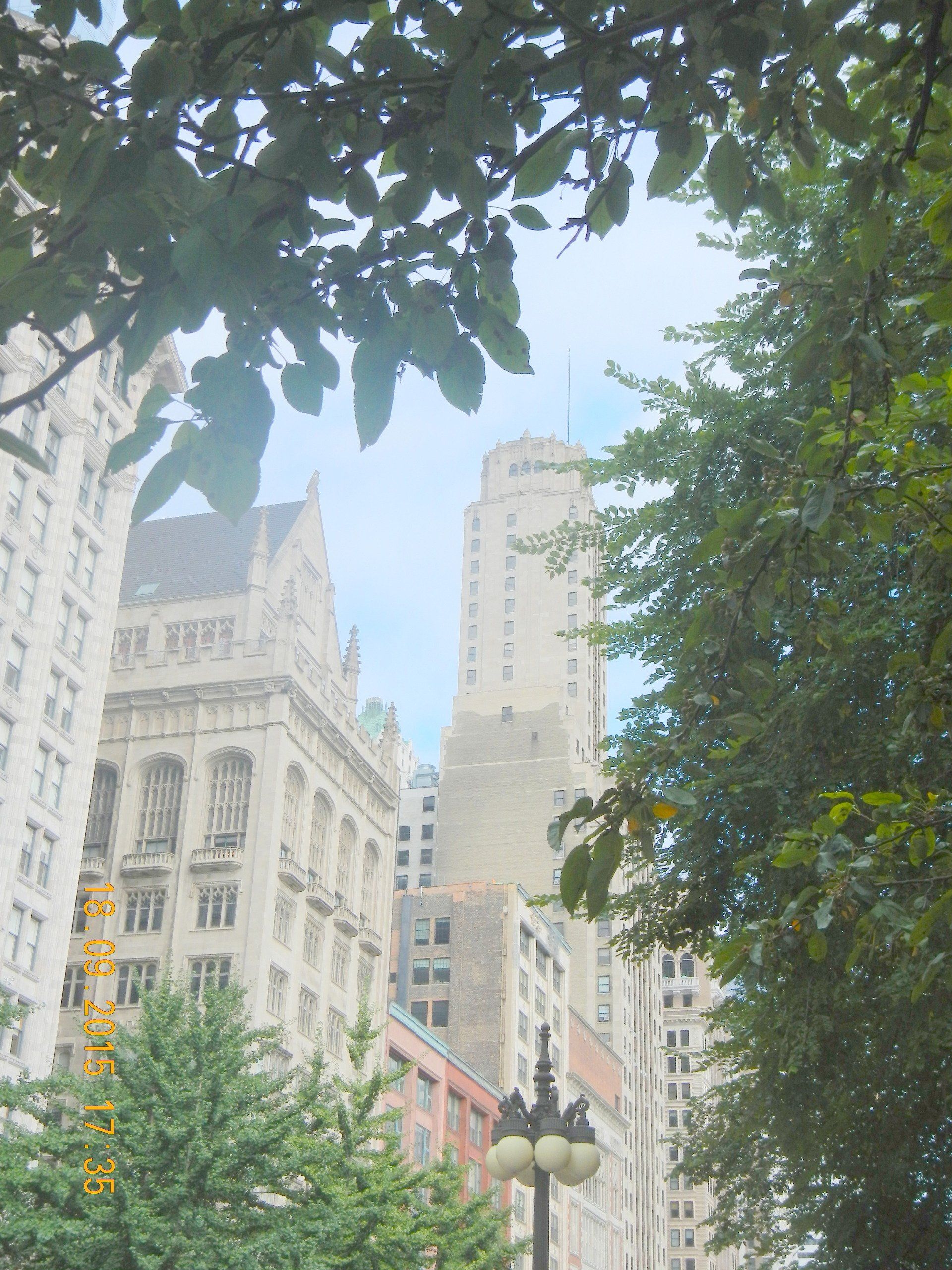 Durch die Bäume ist ein sehr hohes Gebäude sichtbar