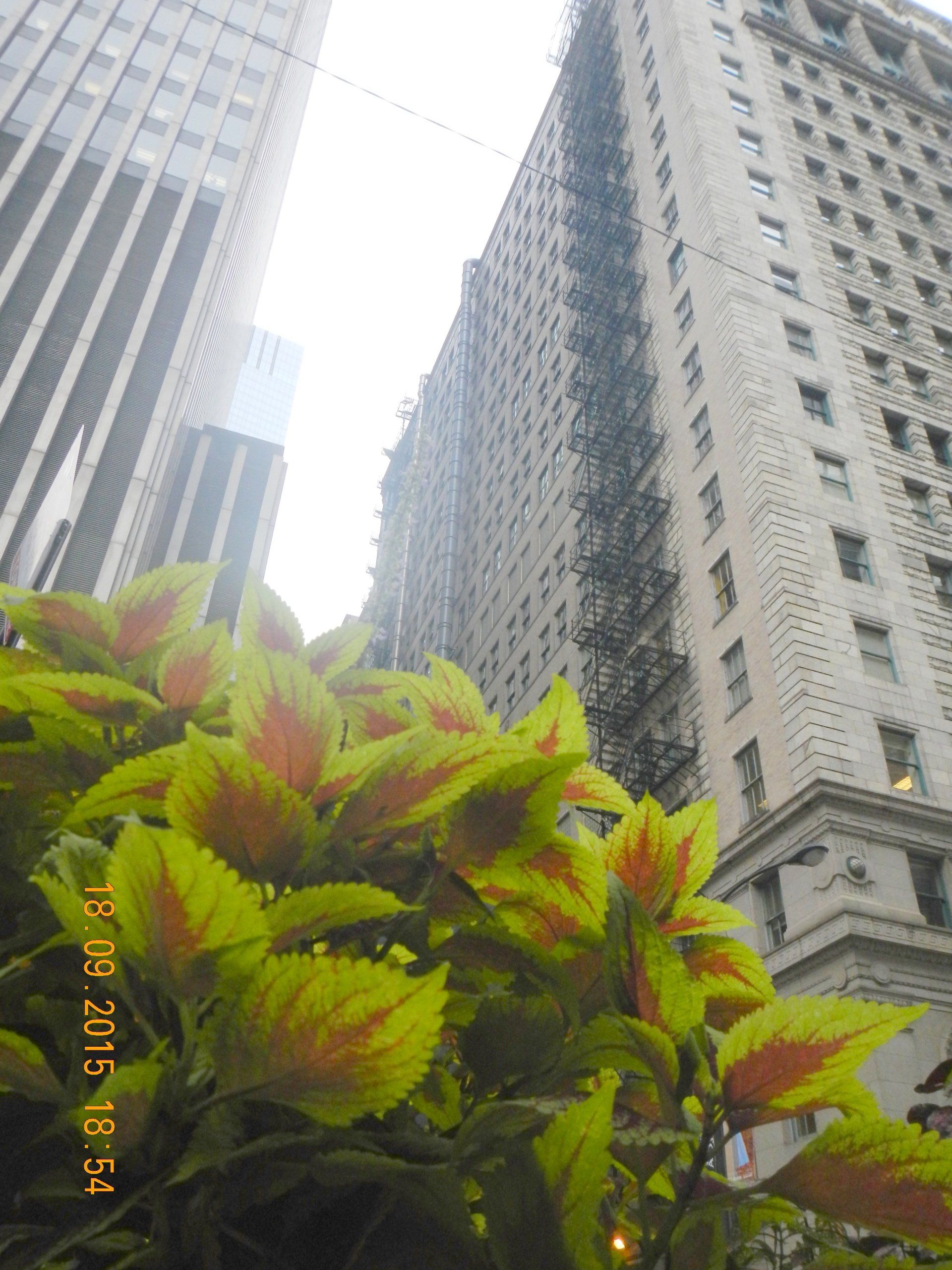 Ein Bild eines Gebäudes, aufgenommen am 15. September 2015