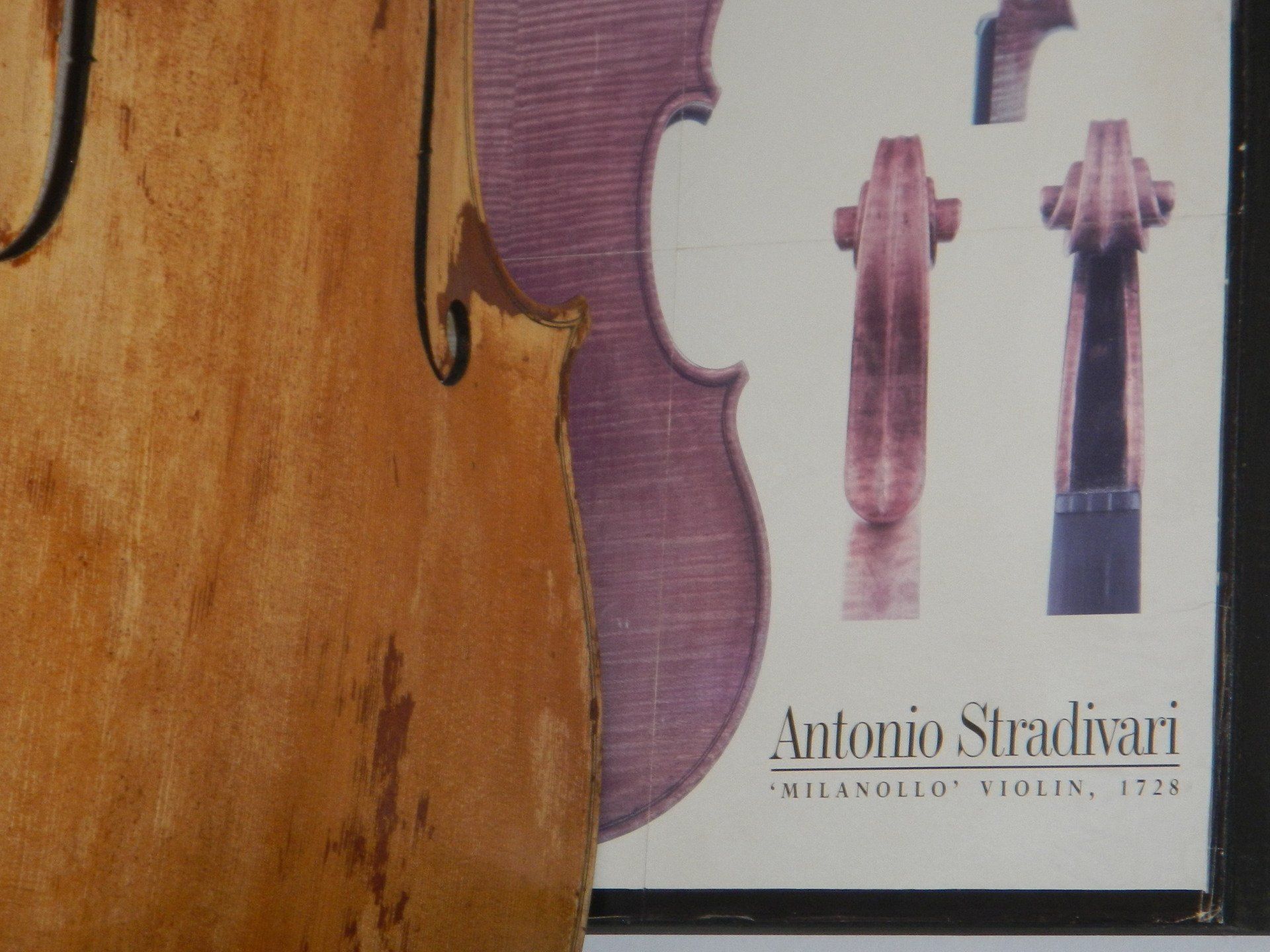 Ein Bild einer Geige von Antonio Stradivari