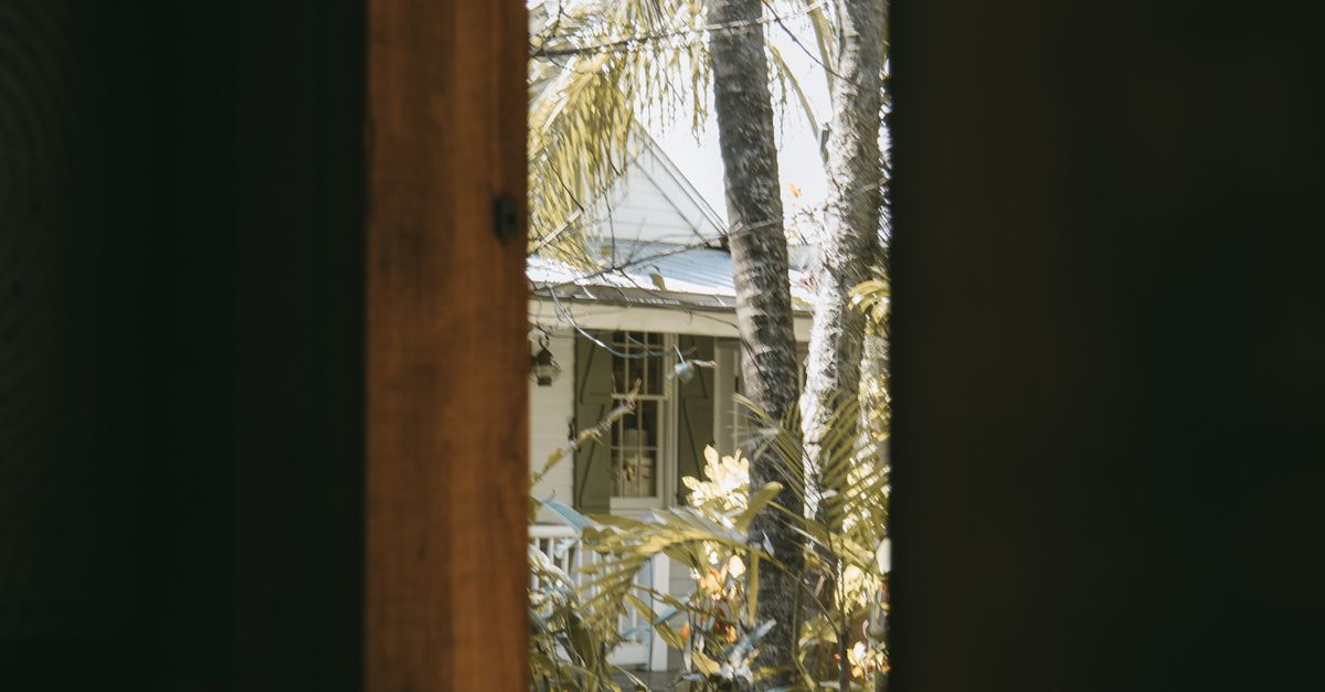 View through a narrow window of a house and bare tree branches outside
