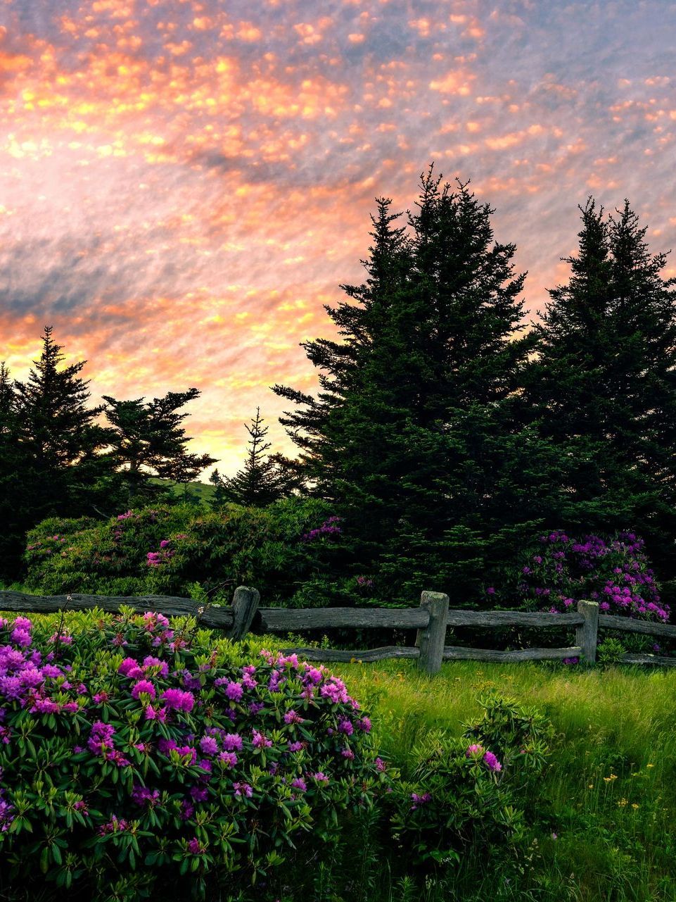 A wooden walkway leading to a gazebo overlooking a body of water at sunset.