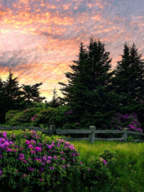 A wooden walkway leading to a gazebo overlooking a body of water at sunset.