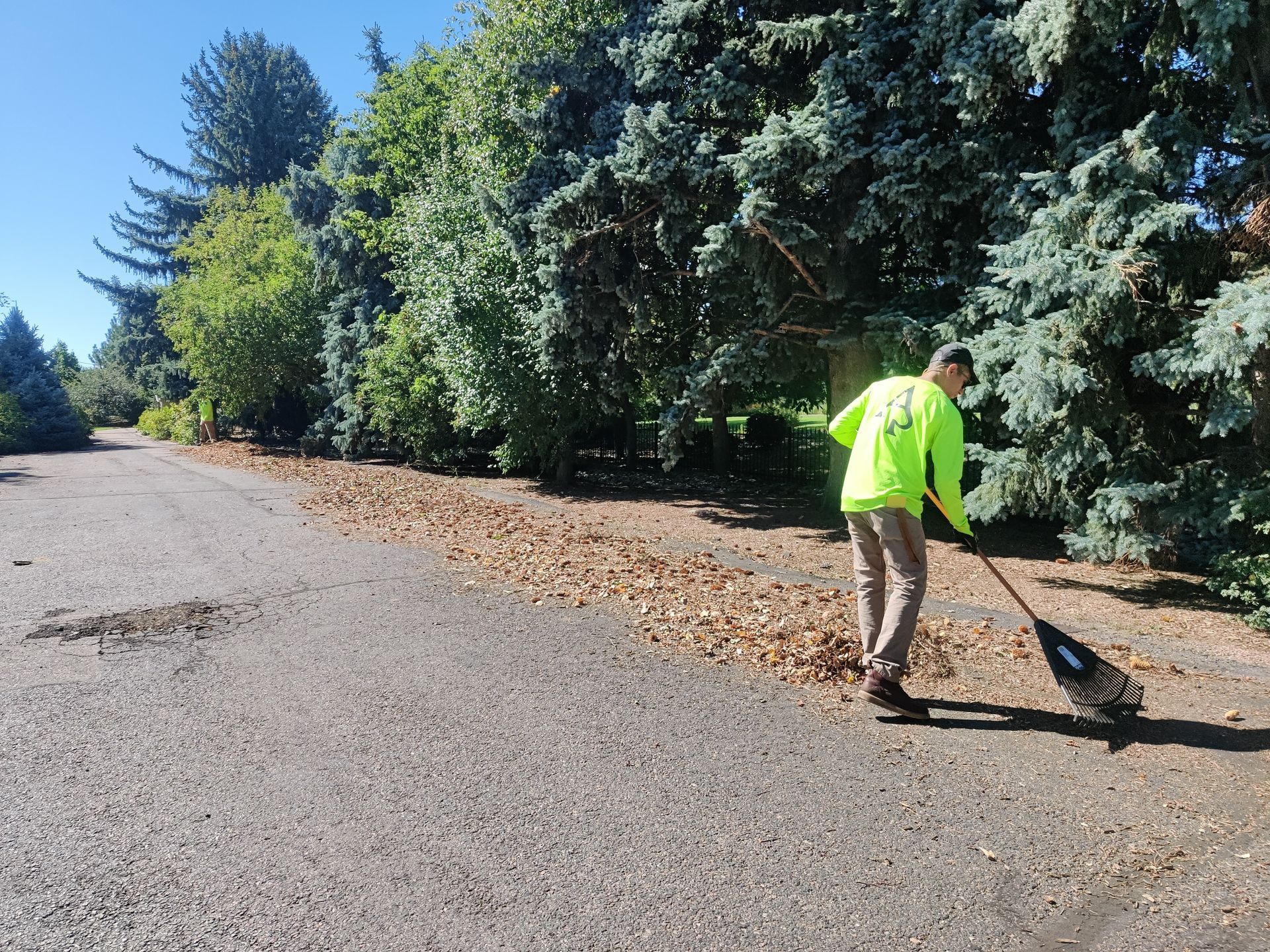 Commercial Landscape Maintenance