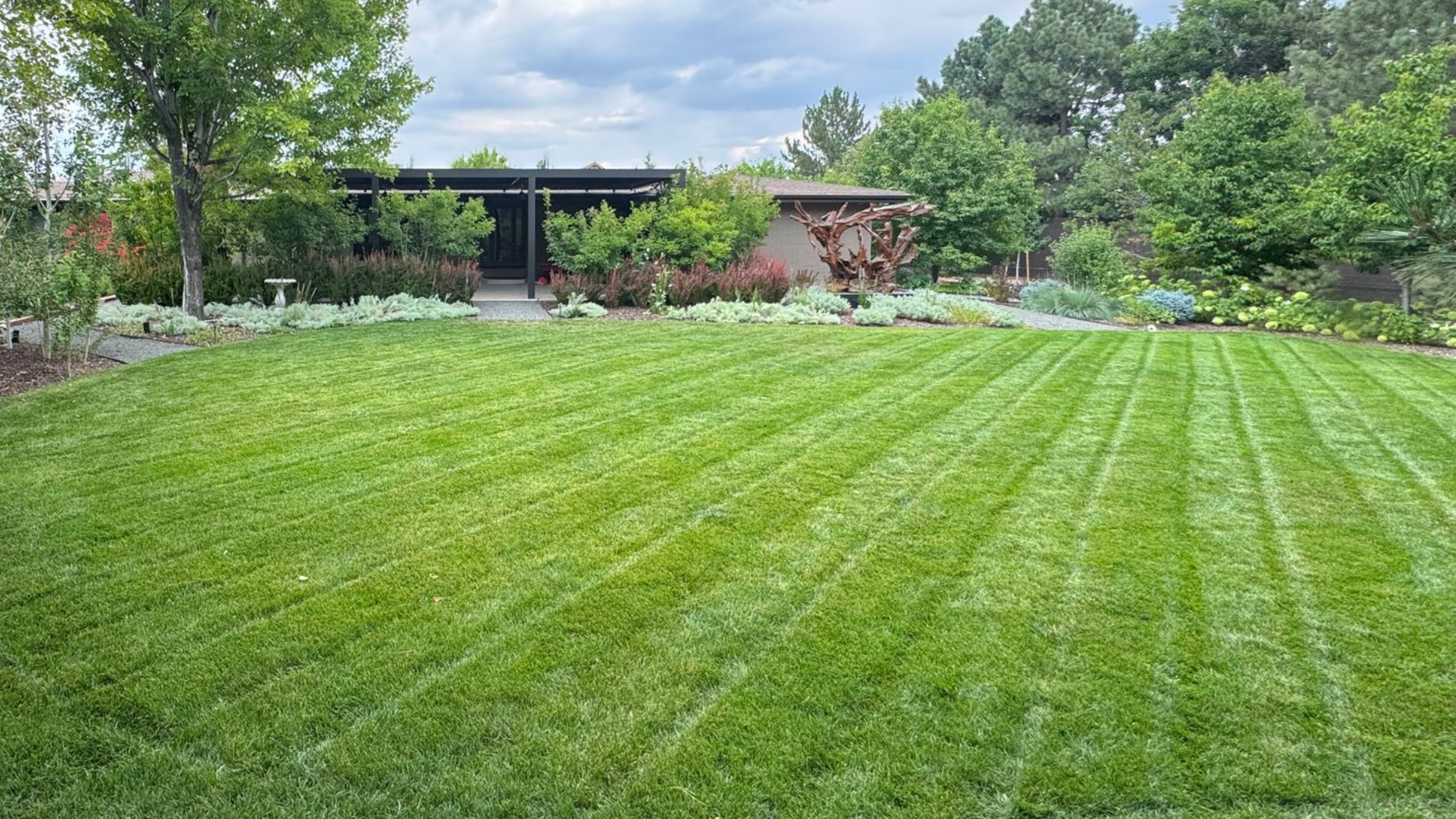 Commercial Lawn Care & Mowing
