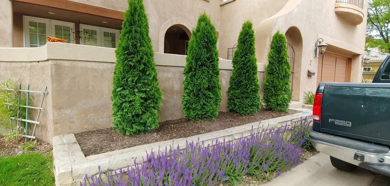A truck is parked in front of a house with trees and purple flowers.