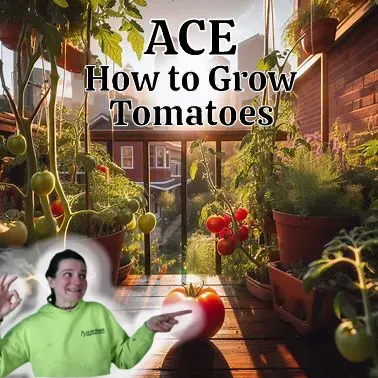 A woman in a green sweatshirt is pointing at a tomato in a garden.