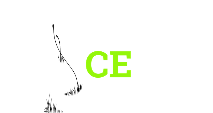 Ace of Spades Gardening & Design