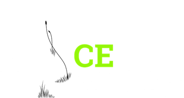 Ace of Spades Gardening & Design