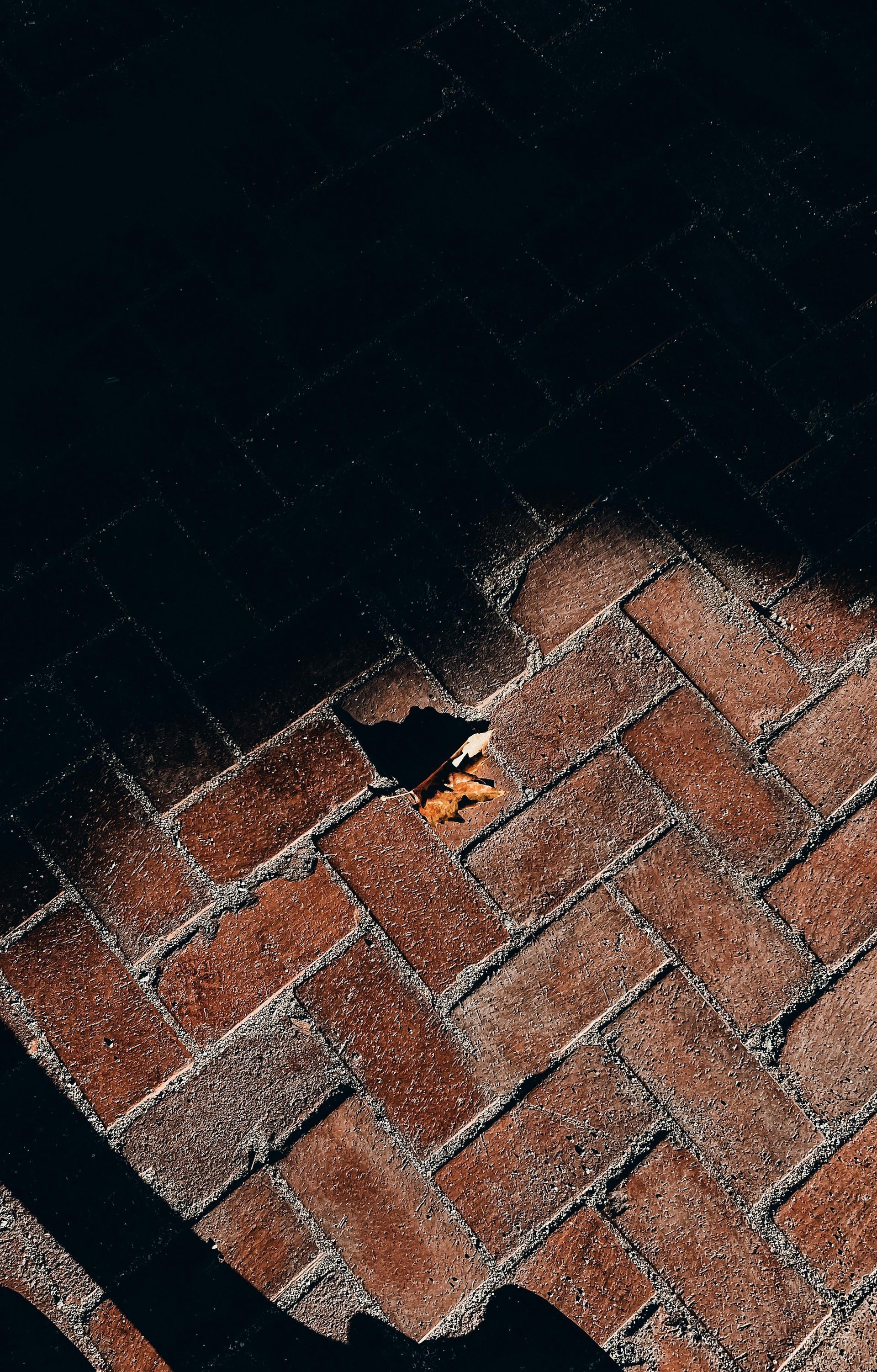 A leaf is laying on a brick floor in the dark.