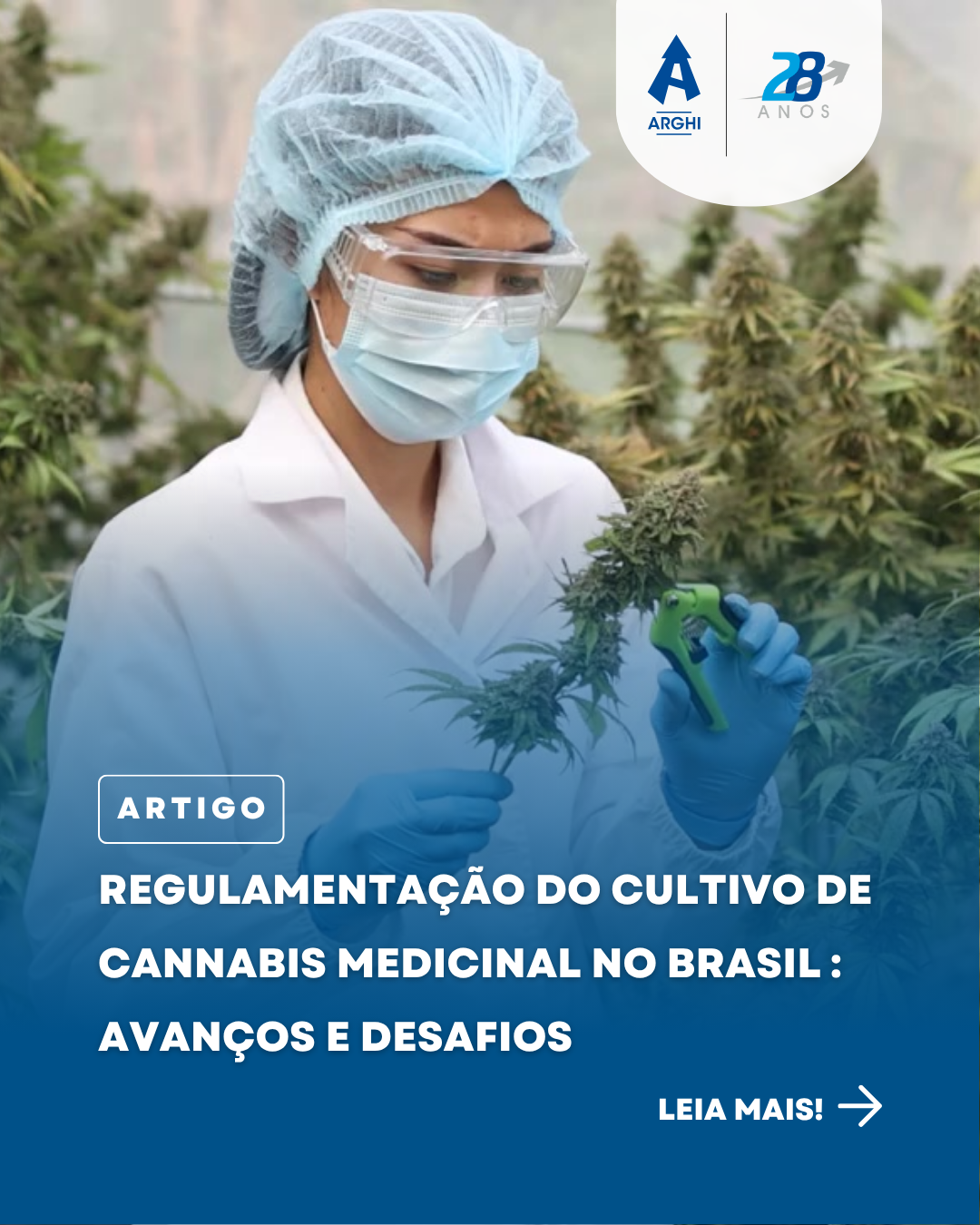 Regulamentação do cultivo de cannabis medicinal no Brasil: avanços e desafios