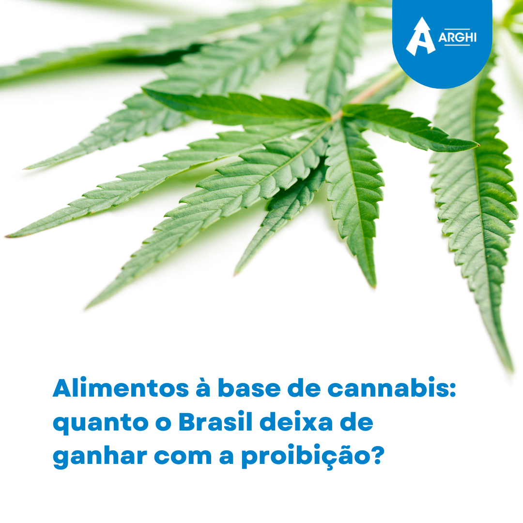 Alimentos à base de cannabis: quanto o Brasil deixa de ganhar com a proibição?