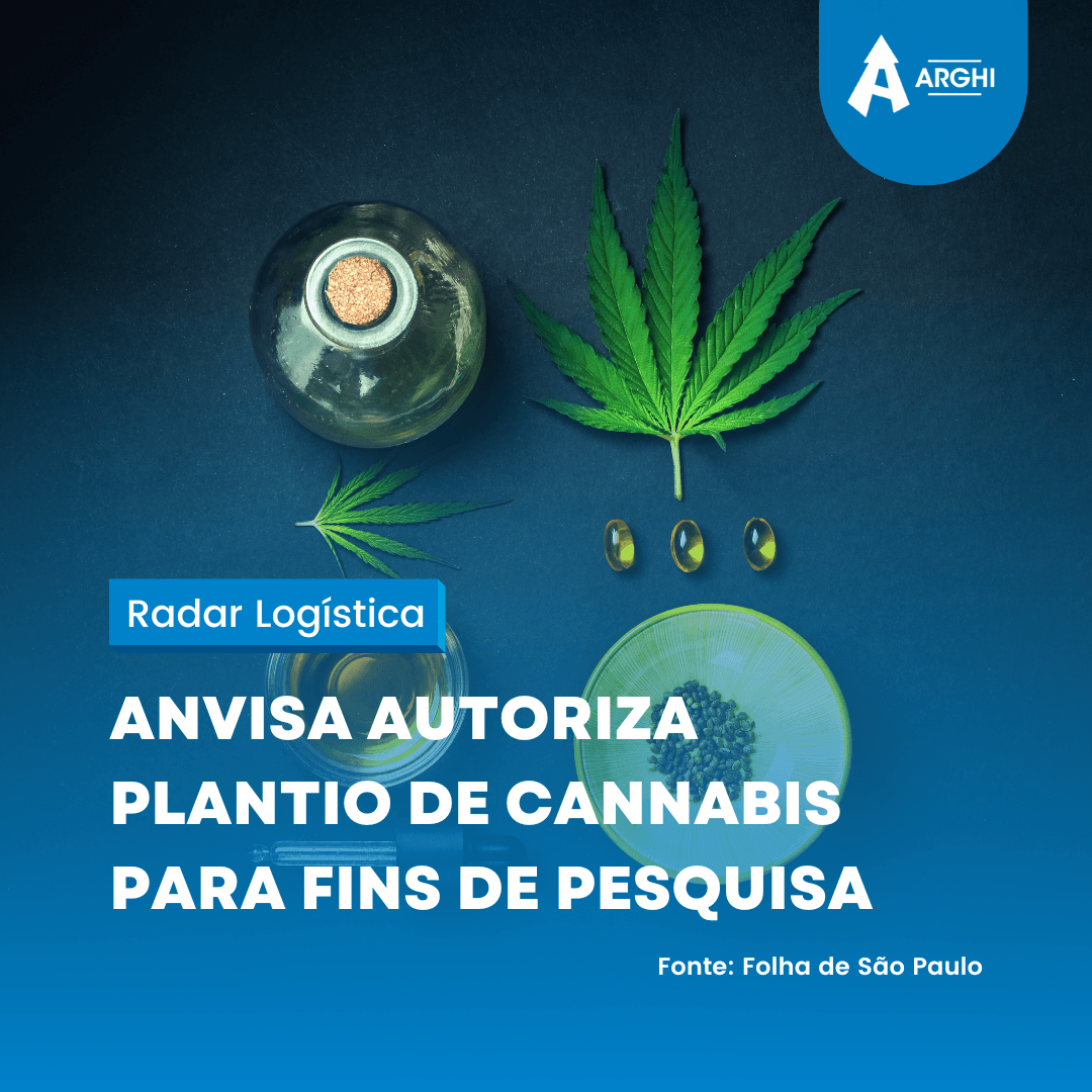 Anvisa autoriza plantio de cannabis para fins de pesquisa