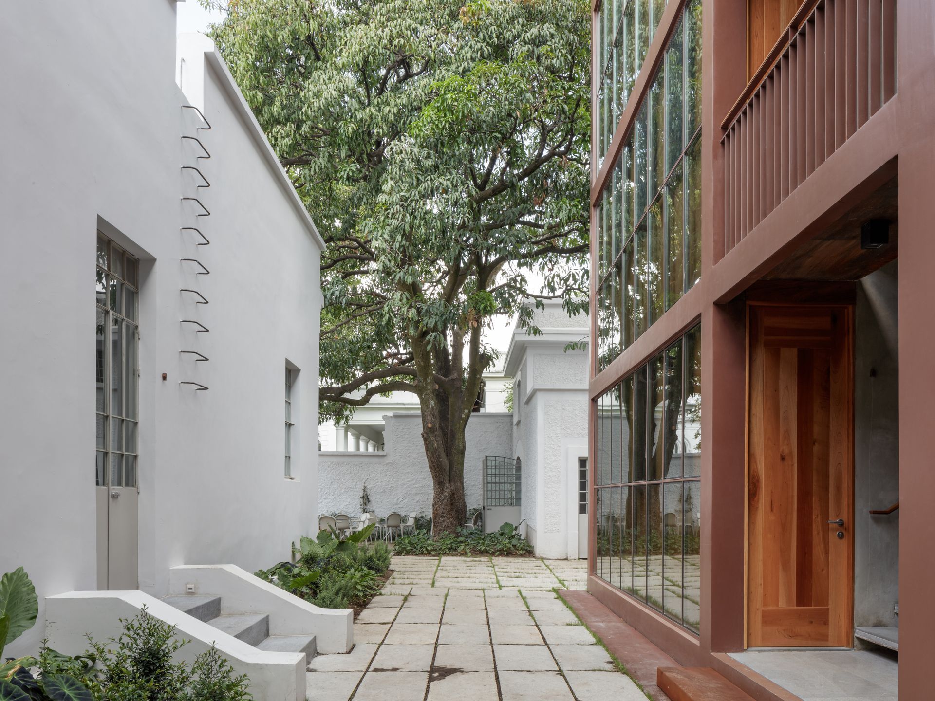 Courtyard with white buildings, a large tree, and a modern glass-walled building.