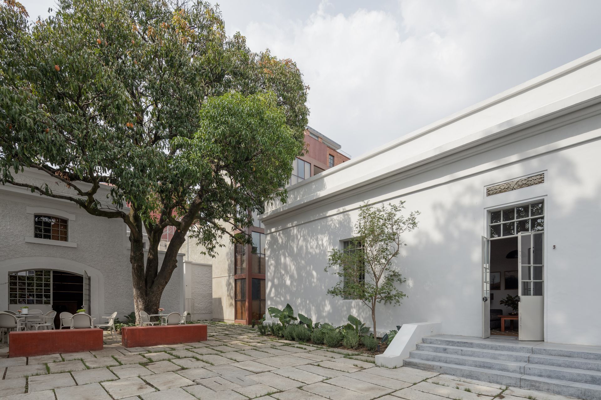 White buildings with a large tree in a courtyard. Open door, red planters, gray paving.