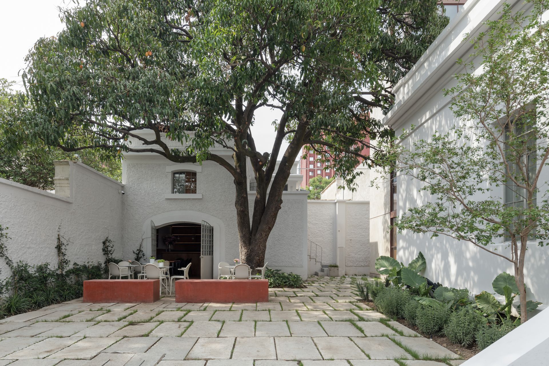 Courtyard with stone pavers, white walls, a large tree, and red benches.