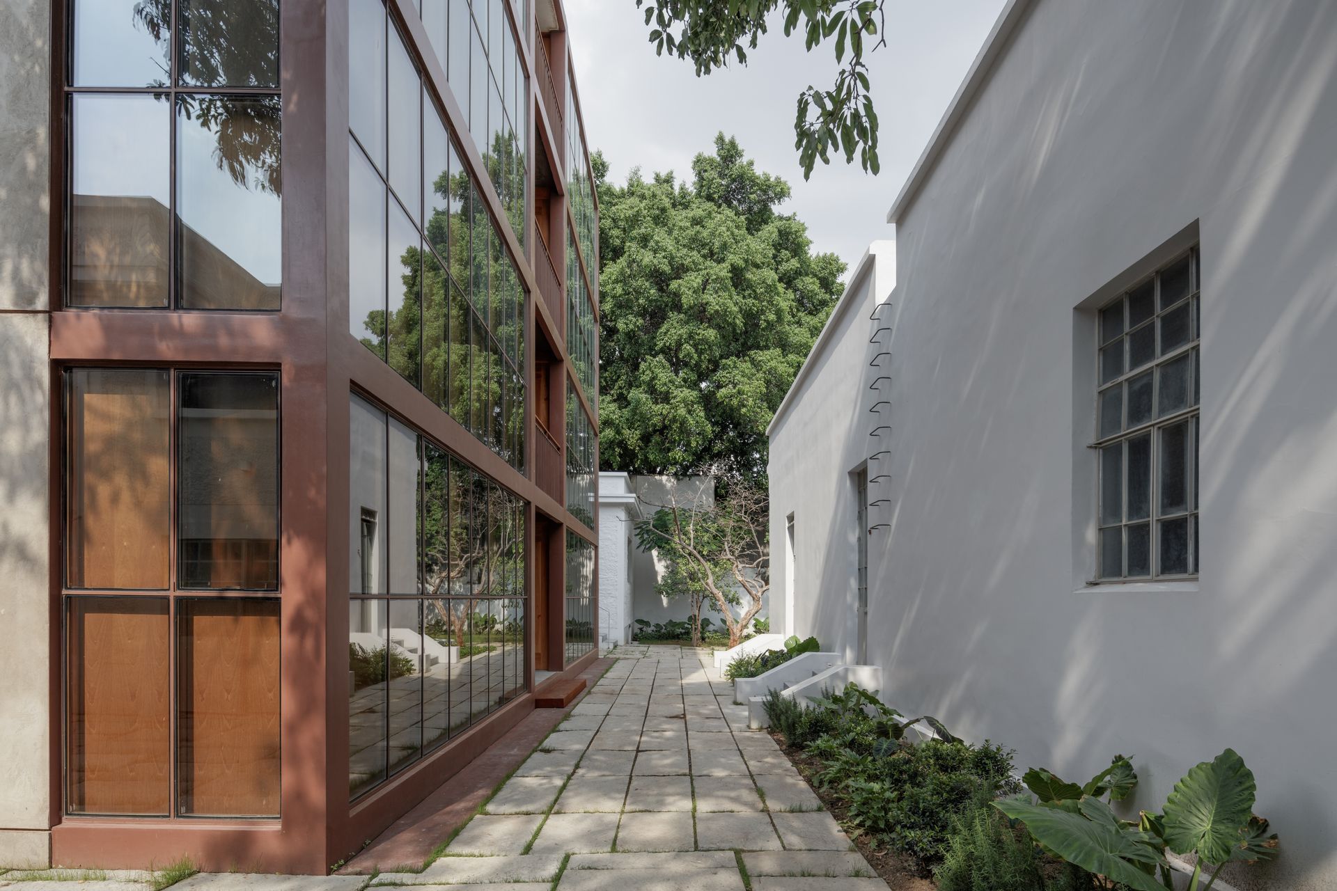 Modern building with glass windows and a white wall with a narrow pathway between them.