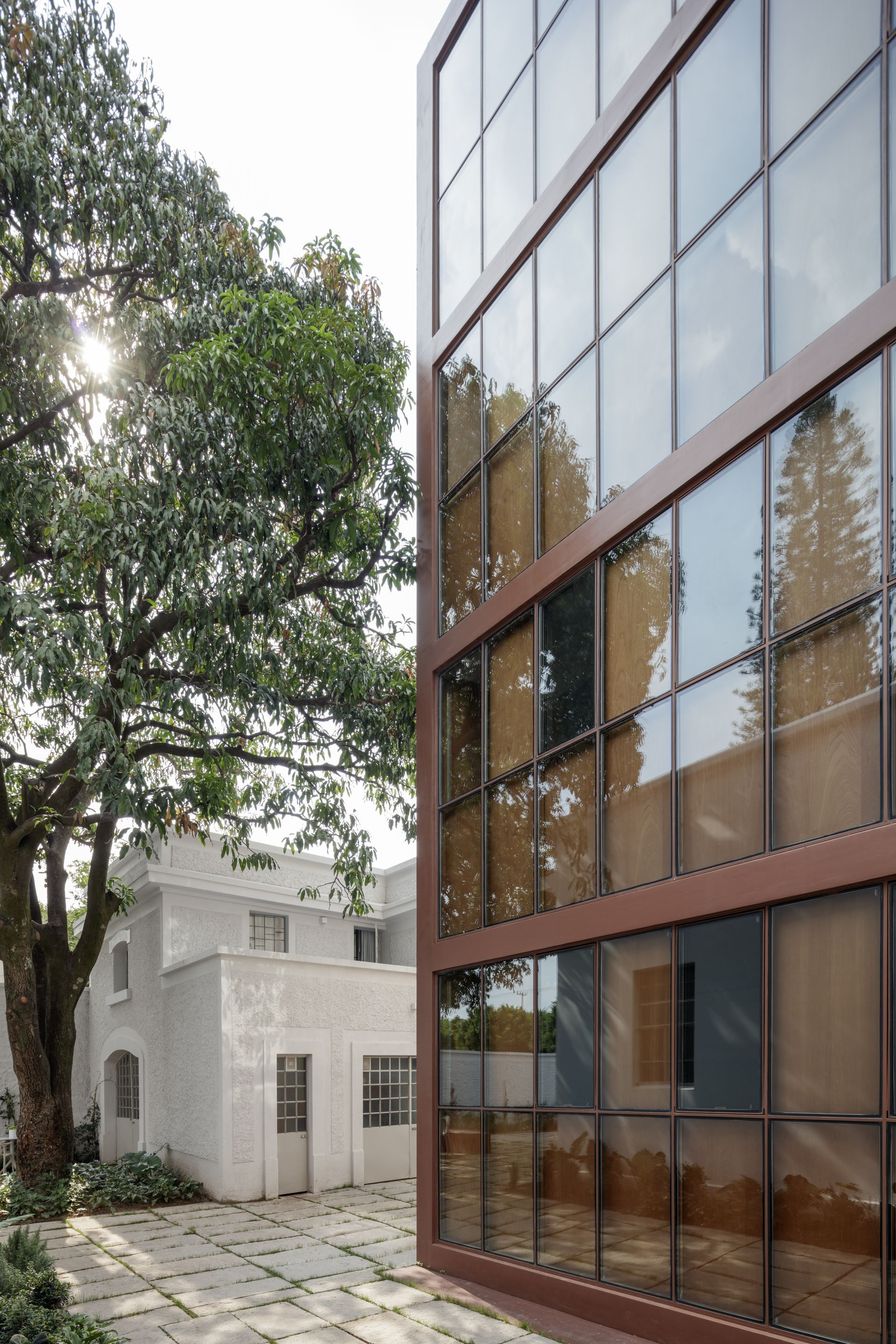 Modern building with glass facade next to a white building and a tree.