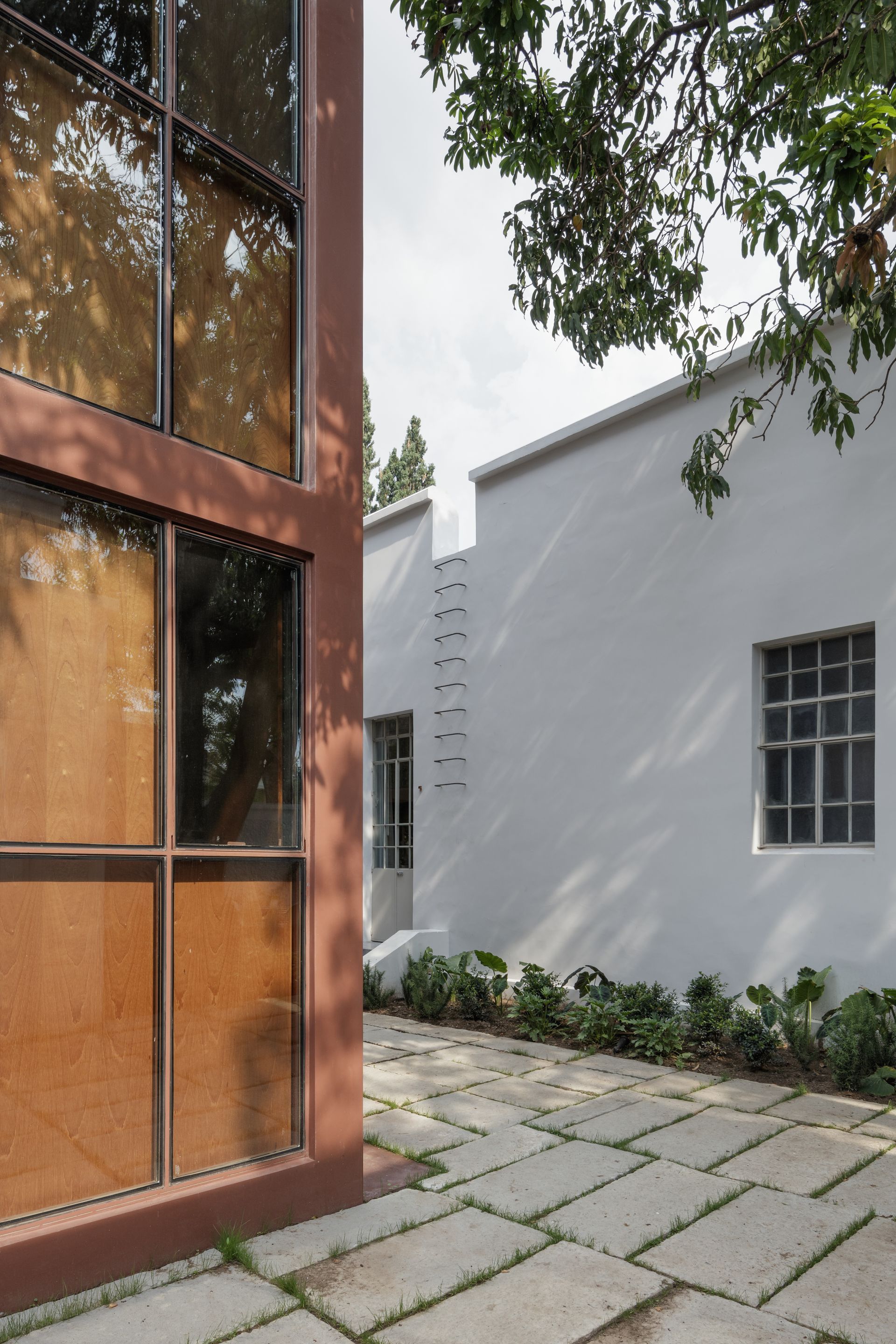 Exterior view of modern buildings with a concrete pathway and lush greenery. One building has brown framed windows.