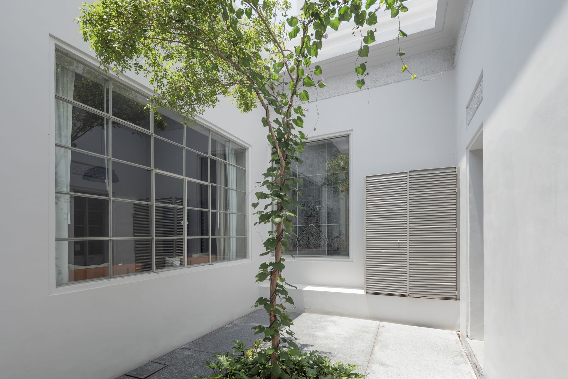 A white building with a tree in the middle of it.