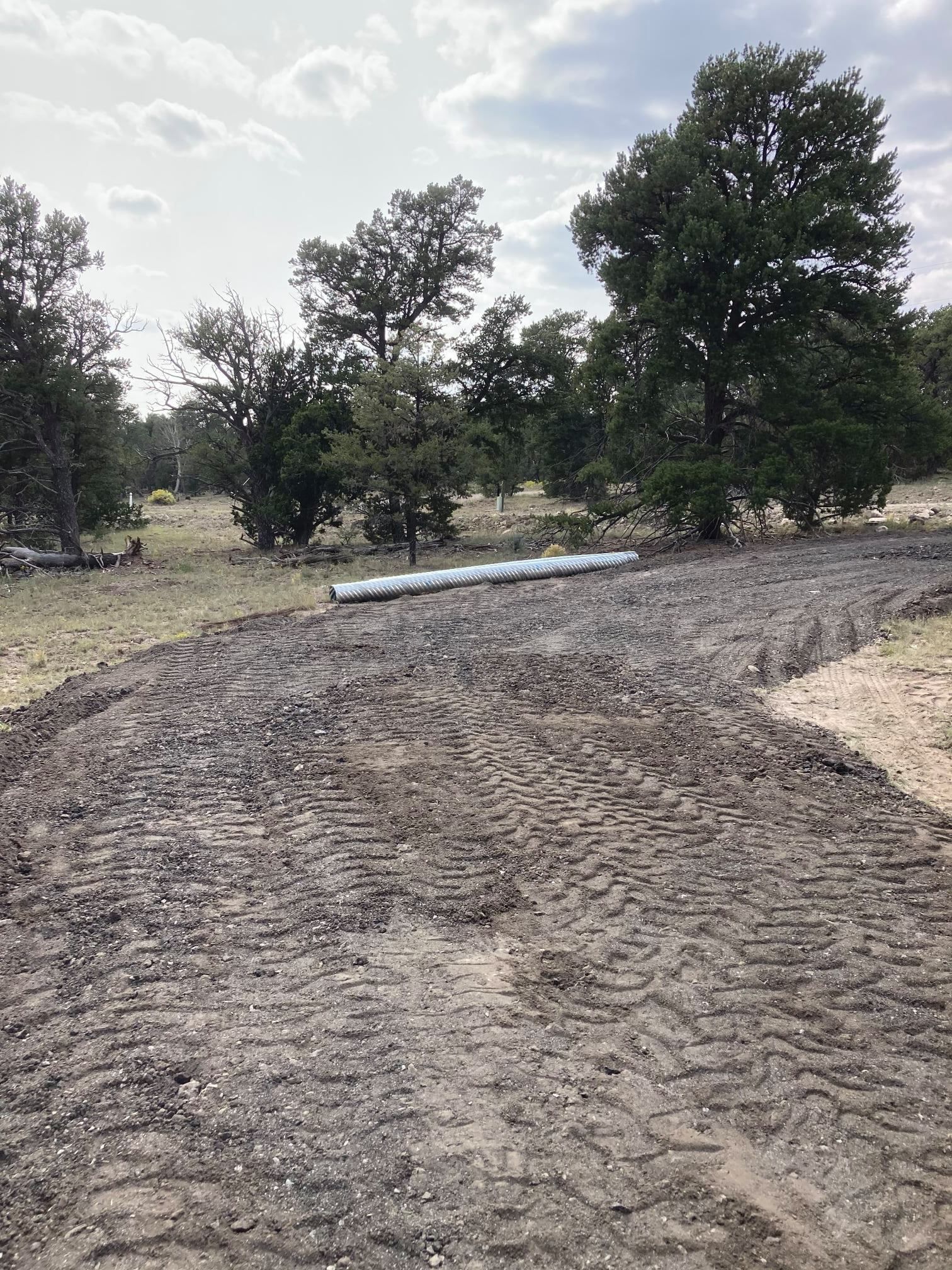 A long trench in dirt with a white pipe in the distance, trees in the background.