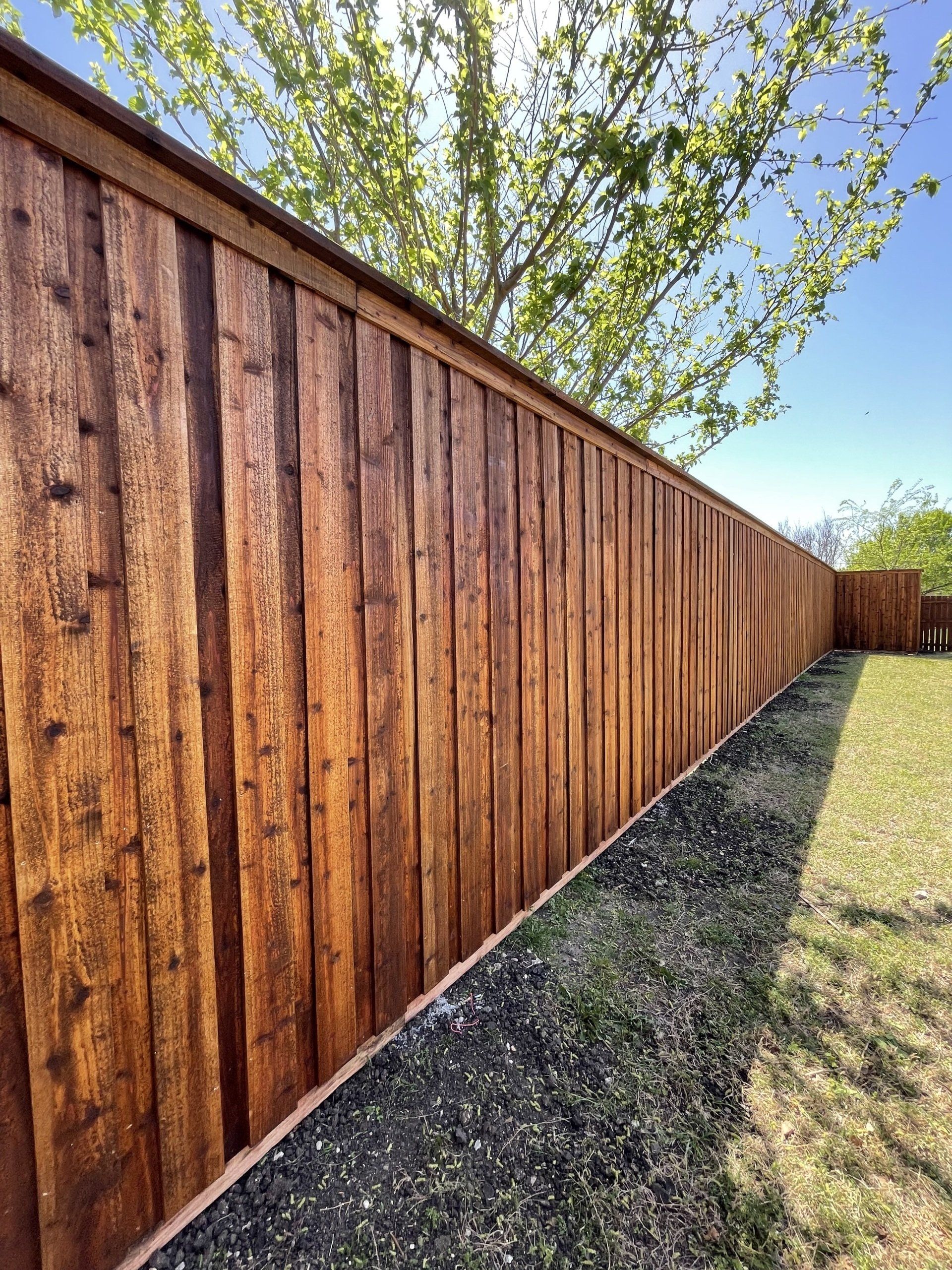 An example of new fencing in Fort Worth, TX