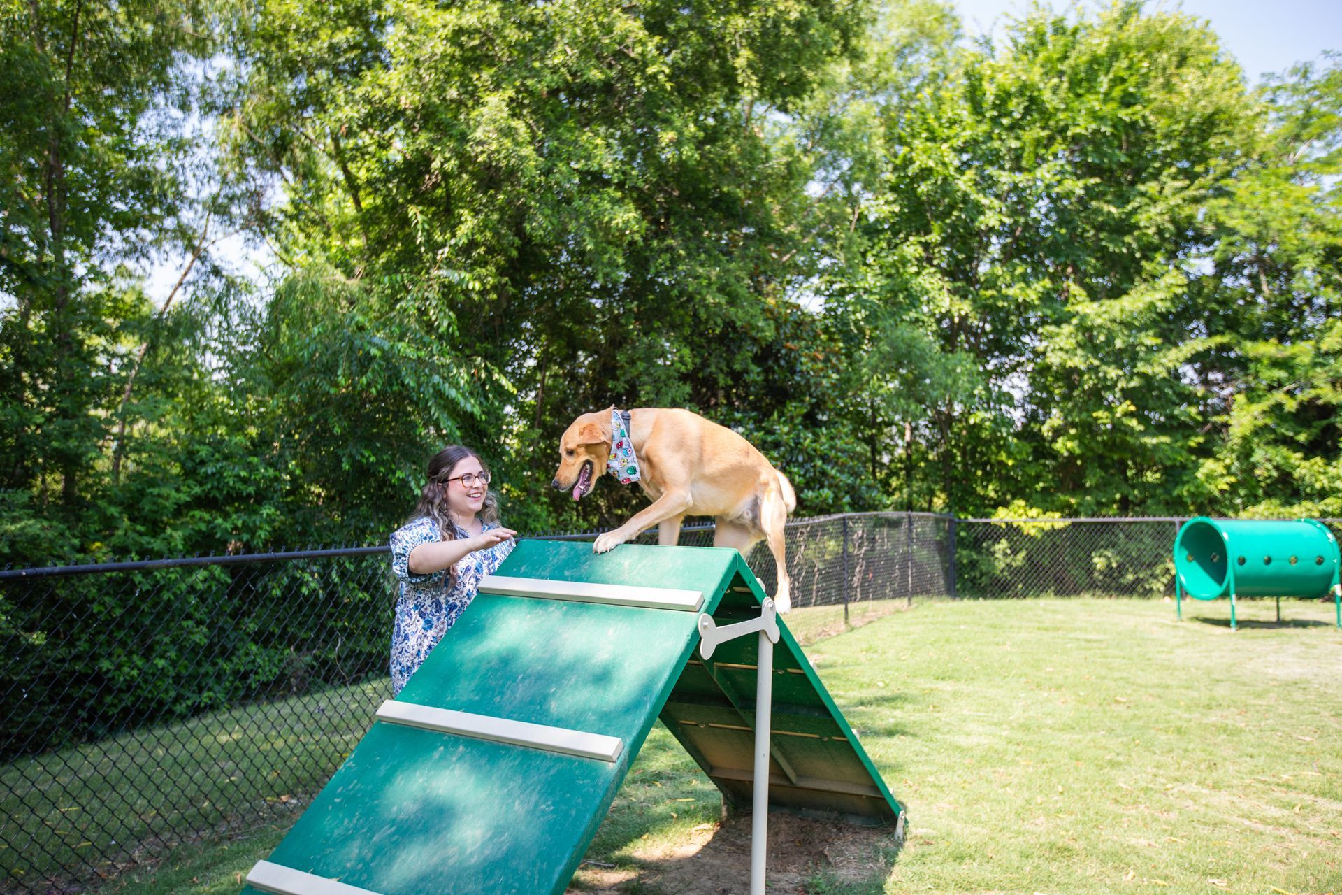 A woman is watching a dog jump over a ramp in a dog park.