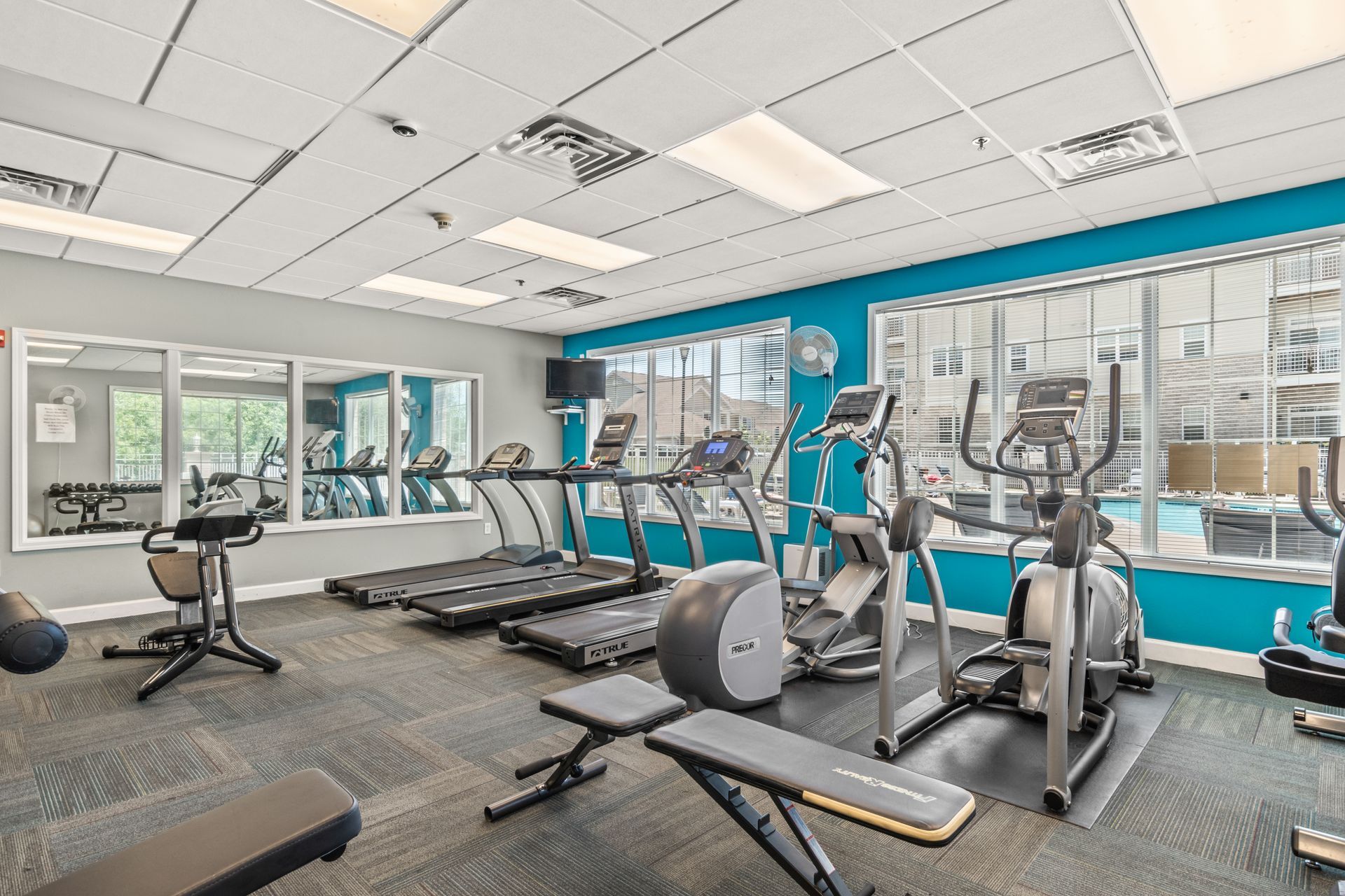 A gym with treadmills , ellipticals , and a bench.