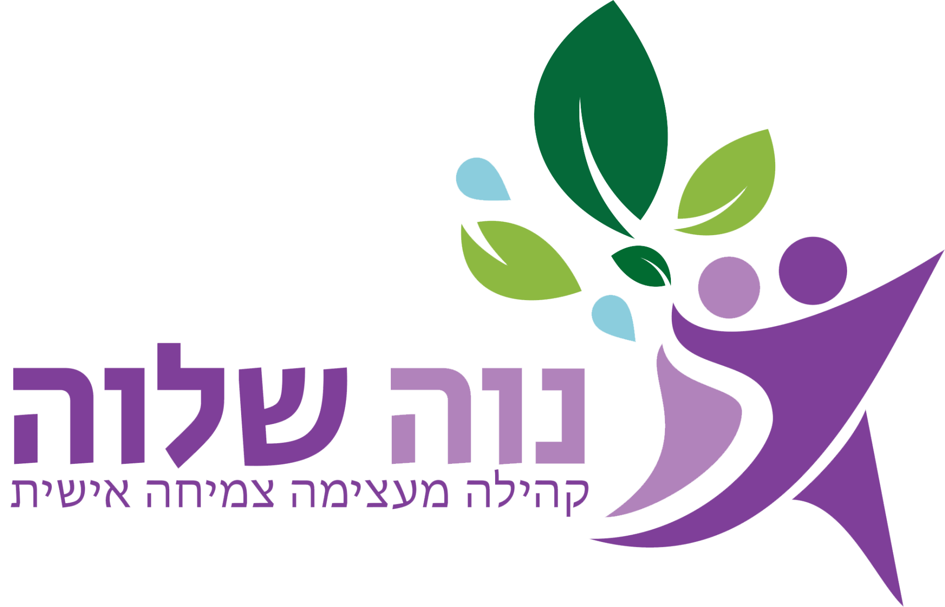 נוה שלוה