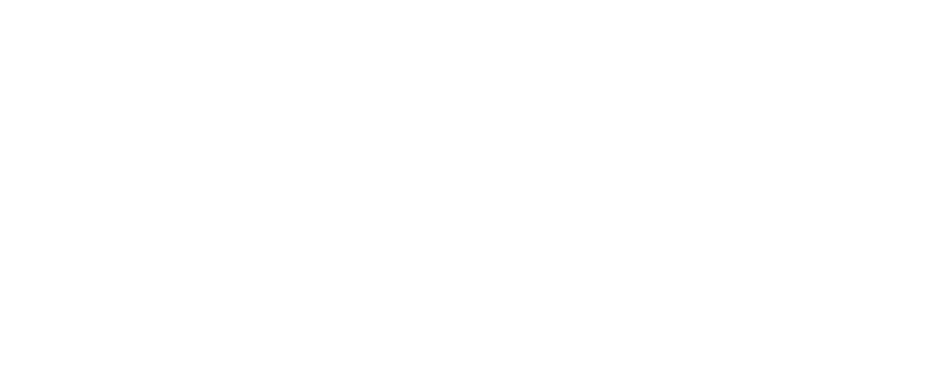 The Patrick Dolan Team